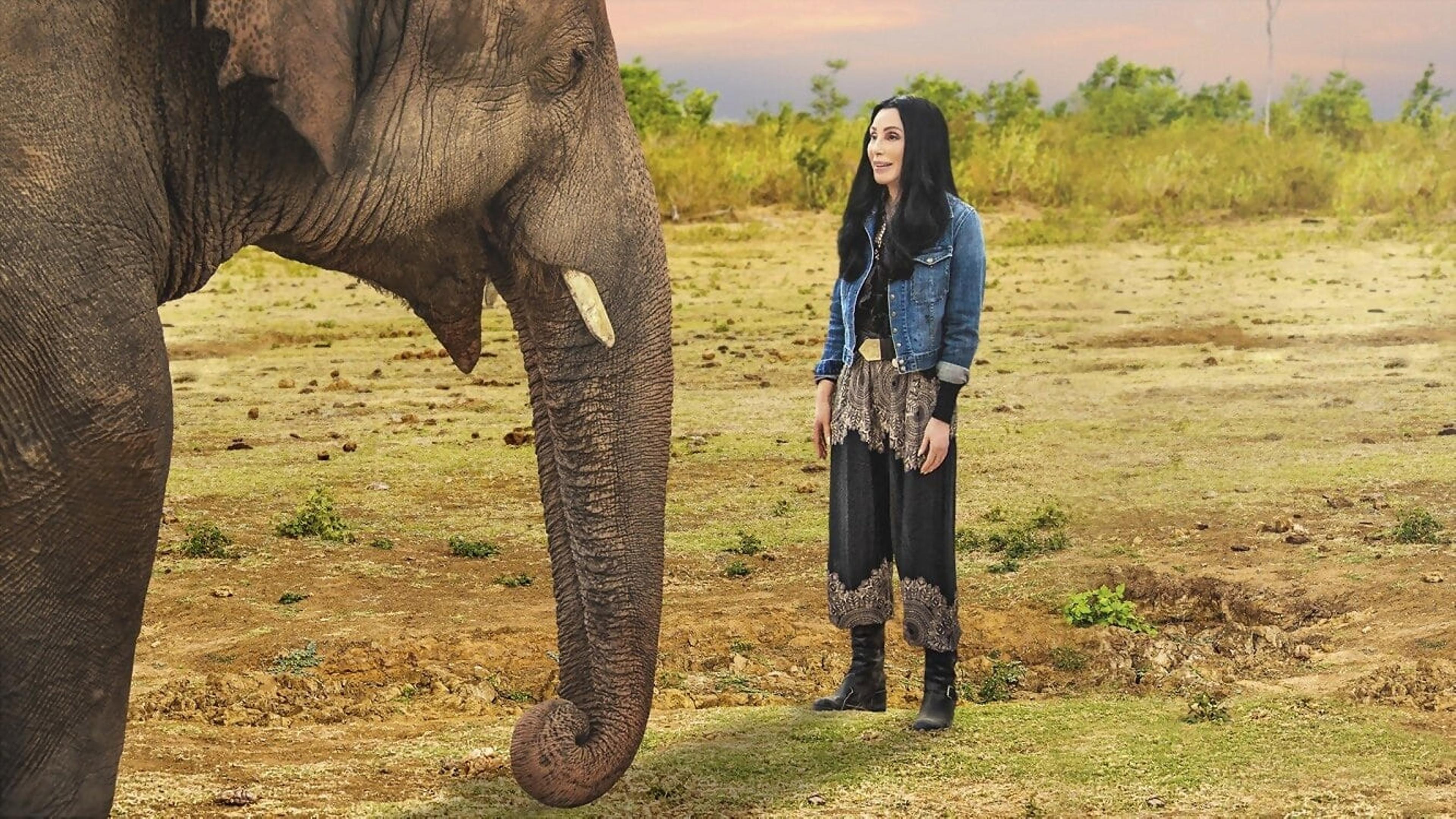 Cher & the Loneliest Elephant