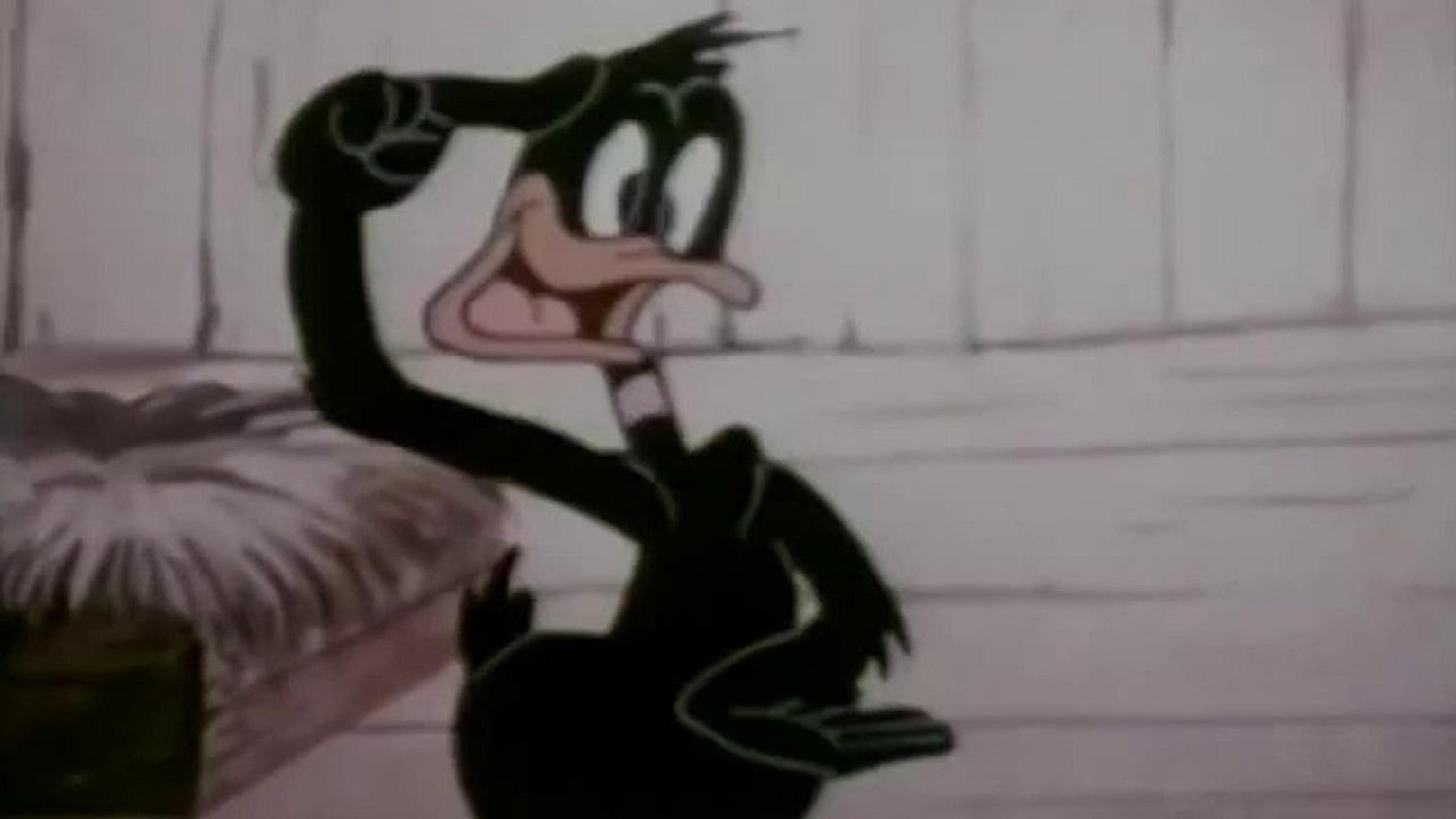 Le Divorce de Daffy