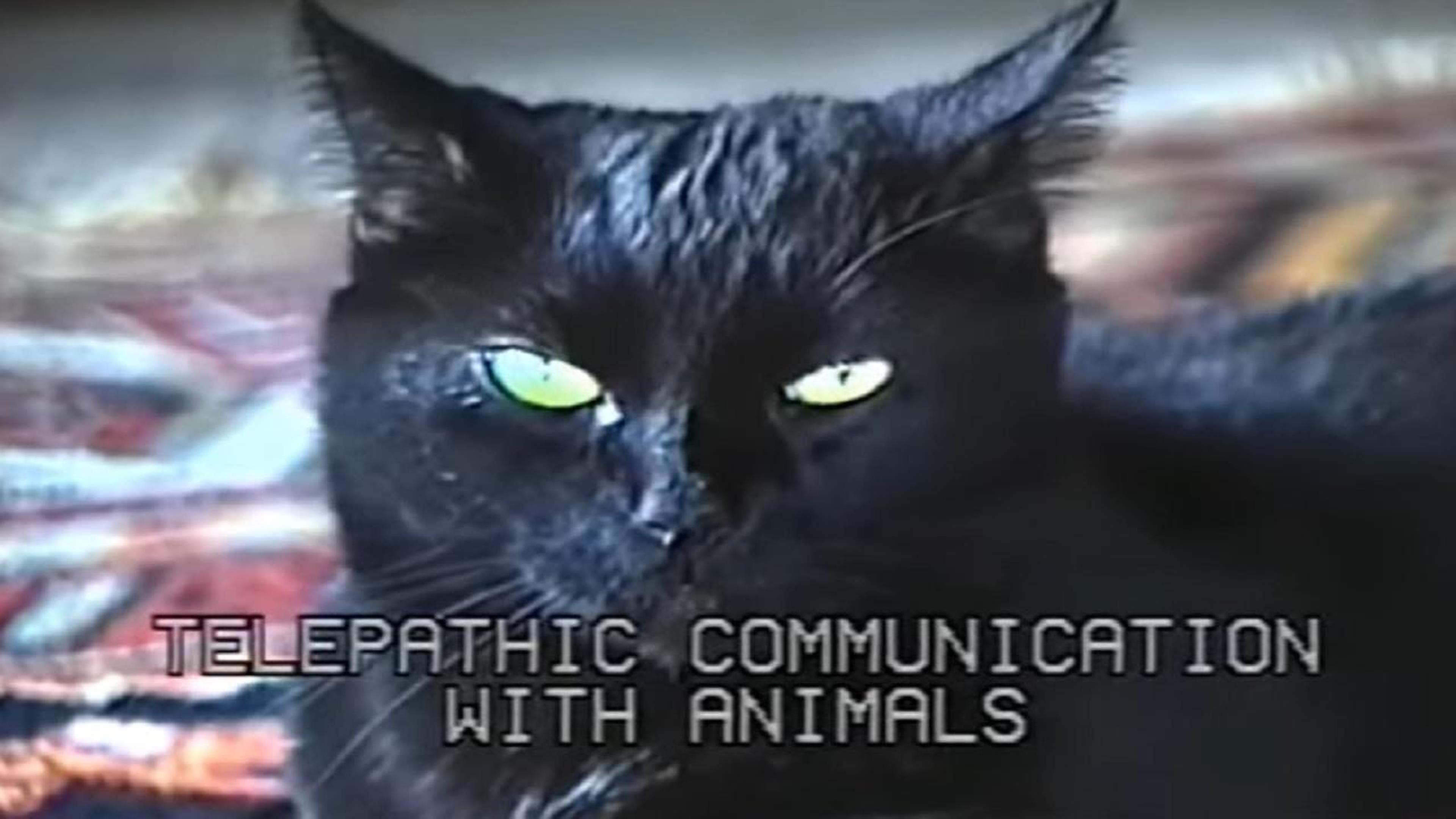 Telepathic Communication with Animals