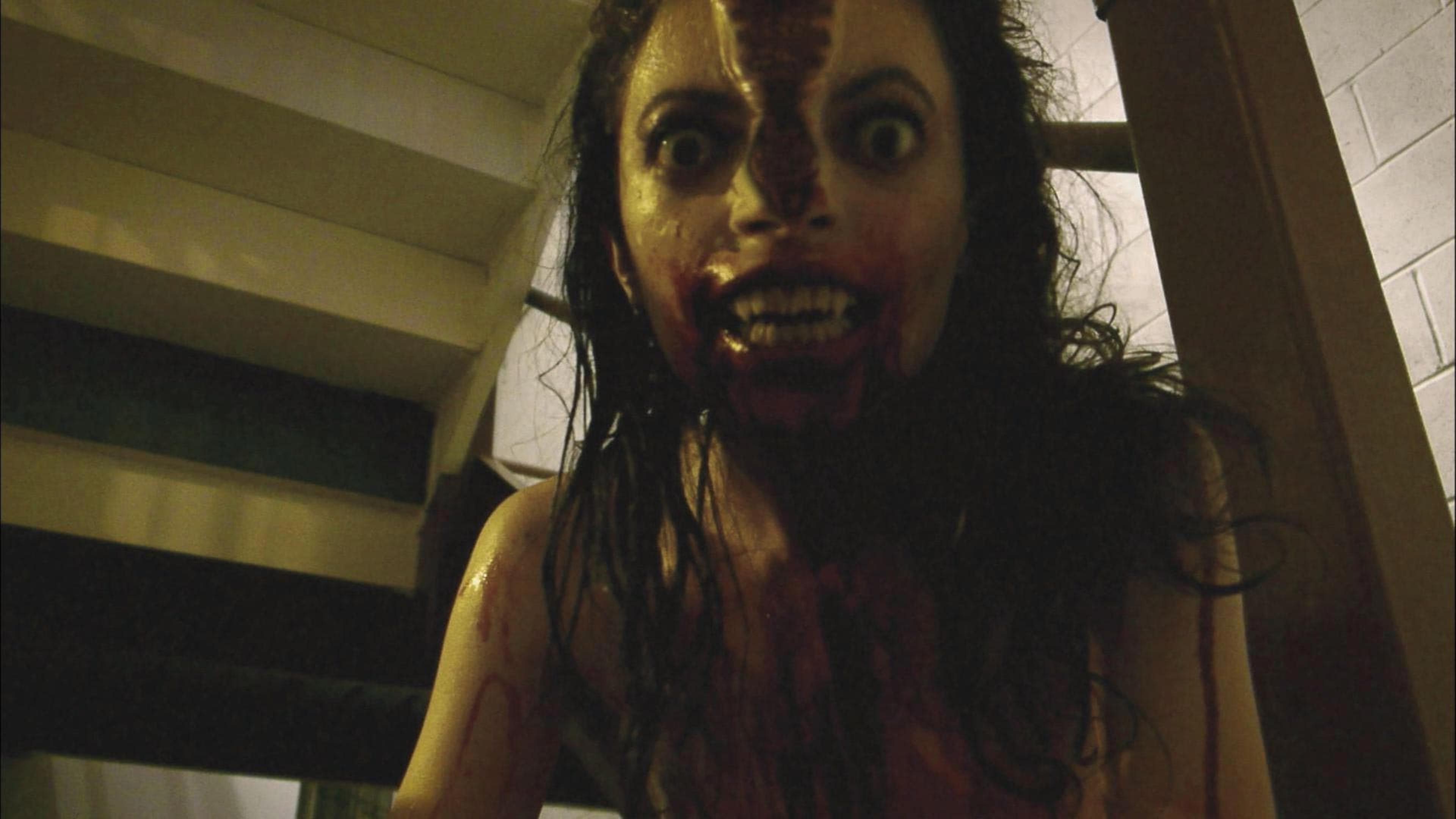 V/H/S