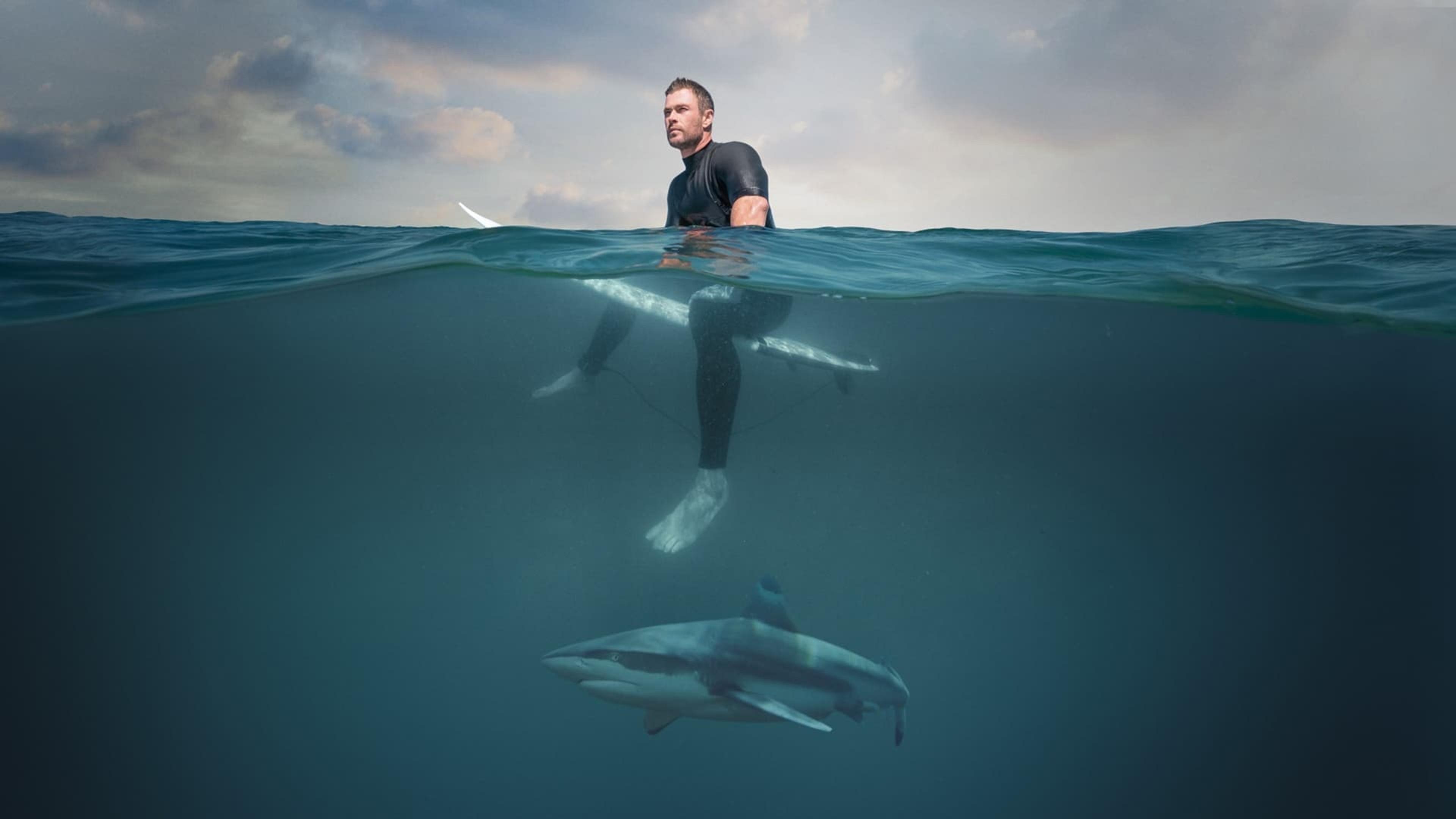 Chris Hemsworth à la rencontre des requins