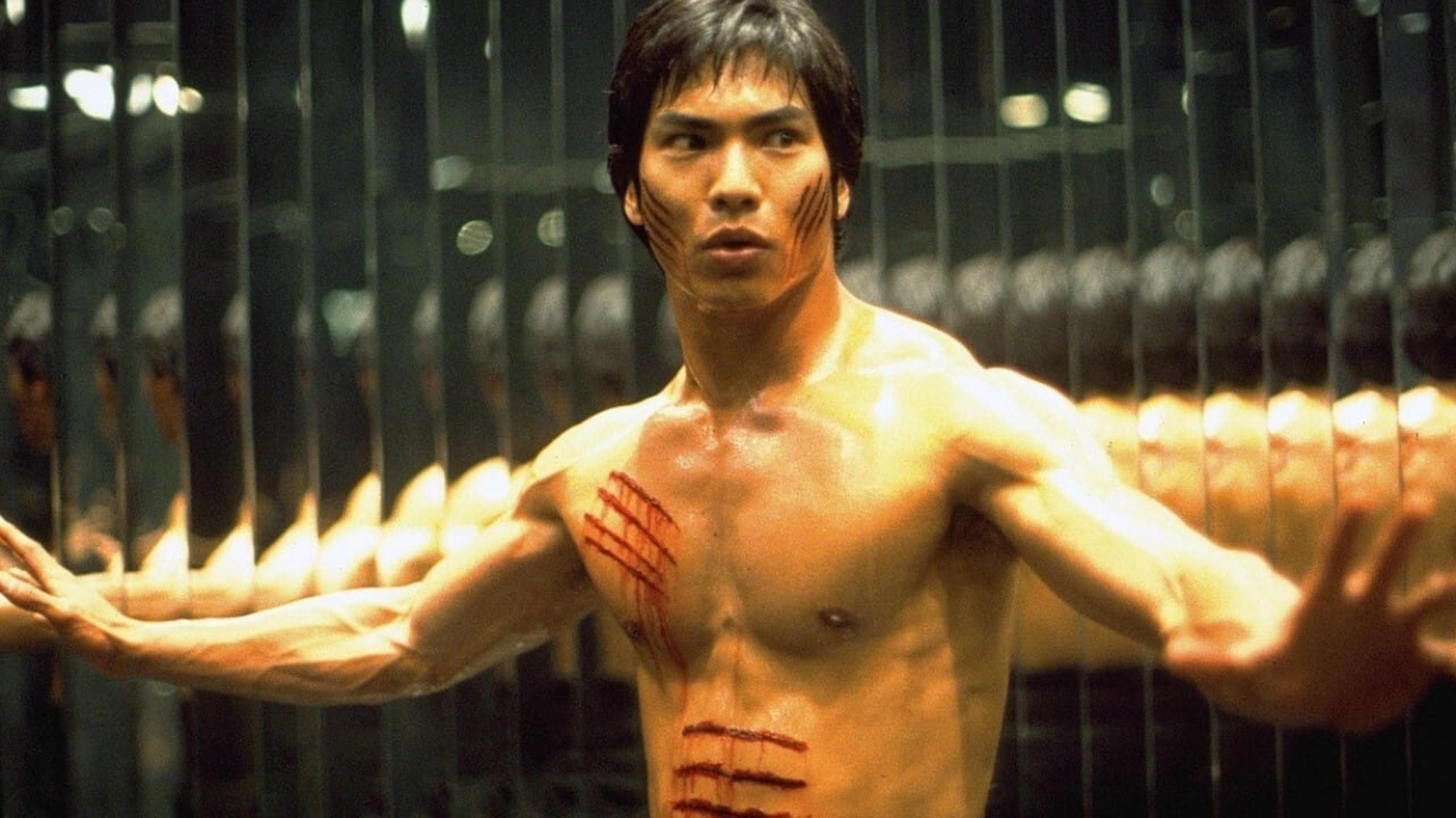 Dragon, l'histoire de Bruce Lee