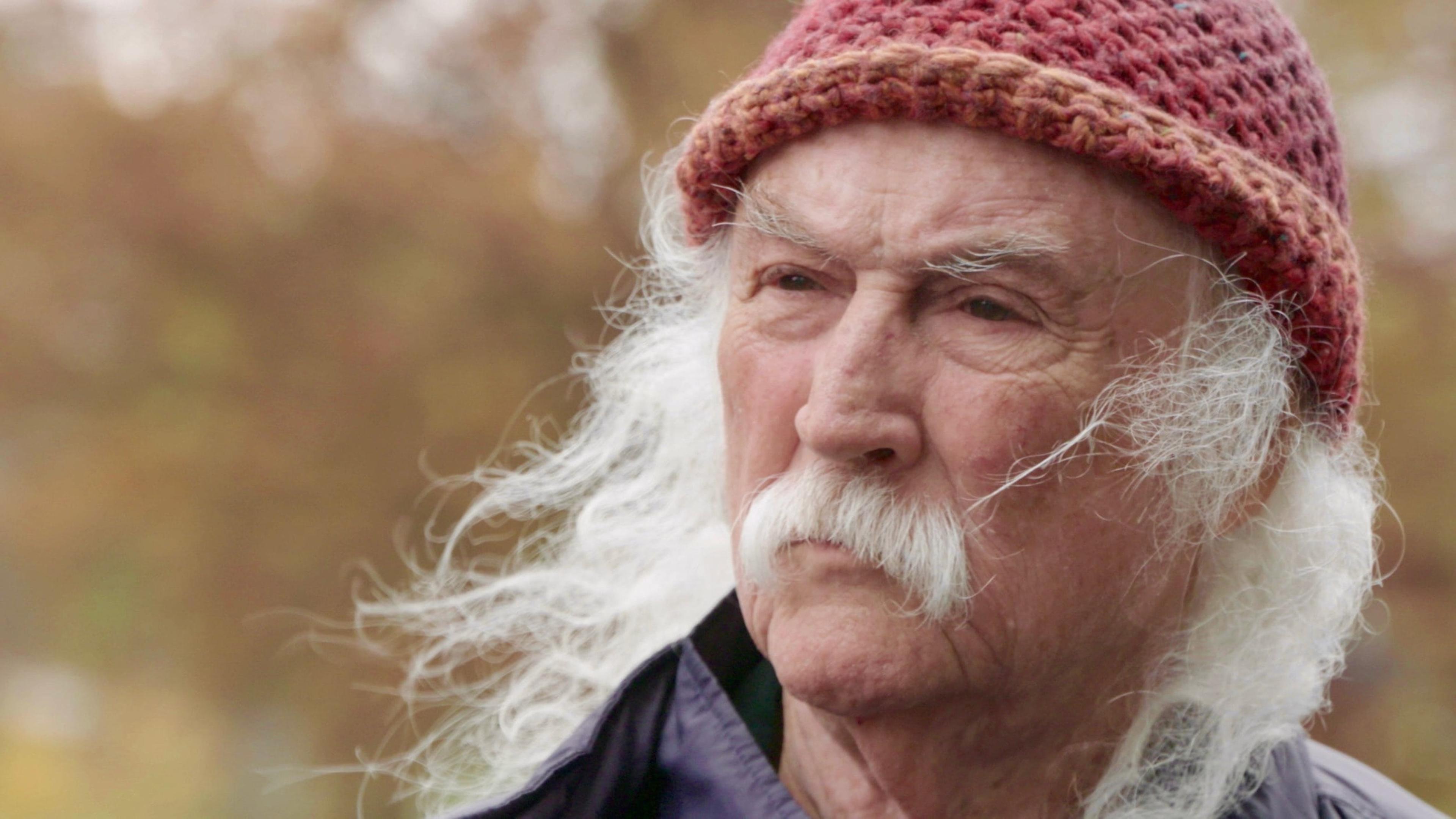 David Crosby : Remember My Name