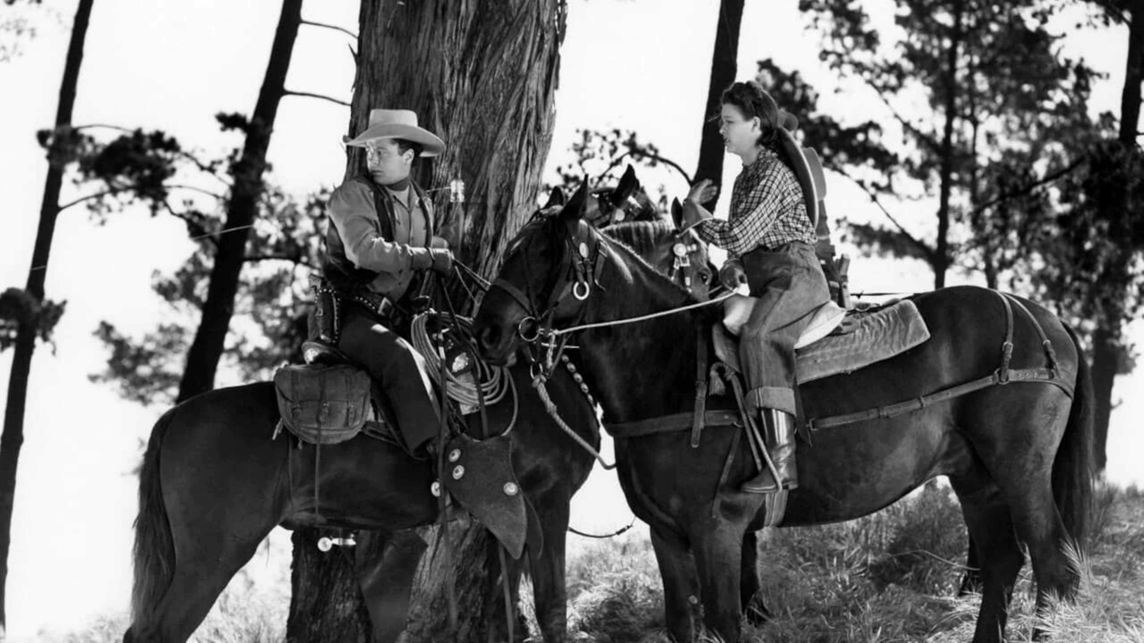 Cyclone on Horseback