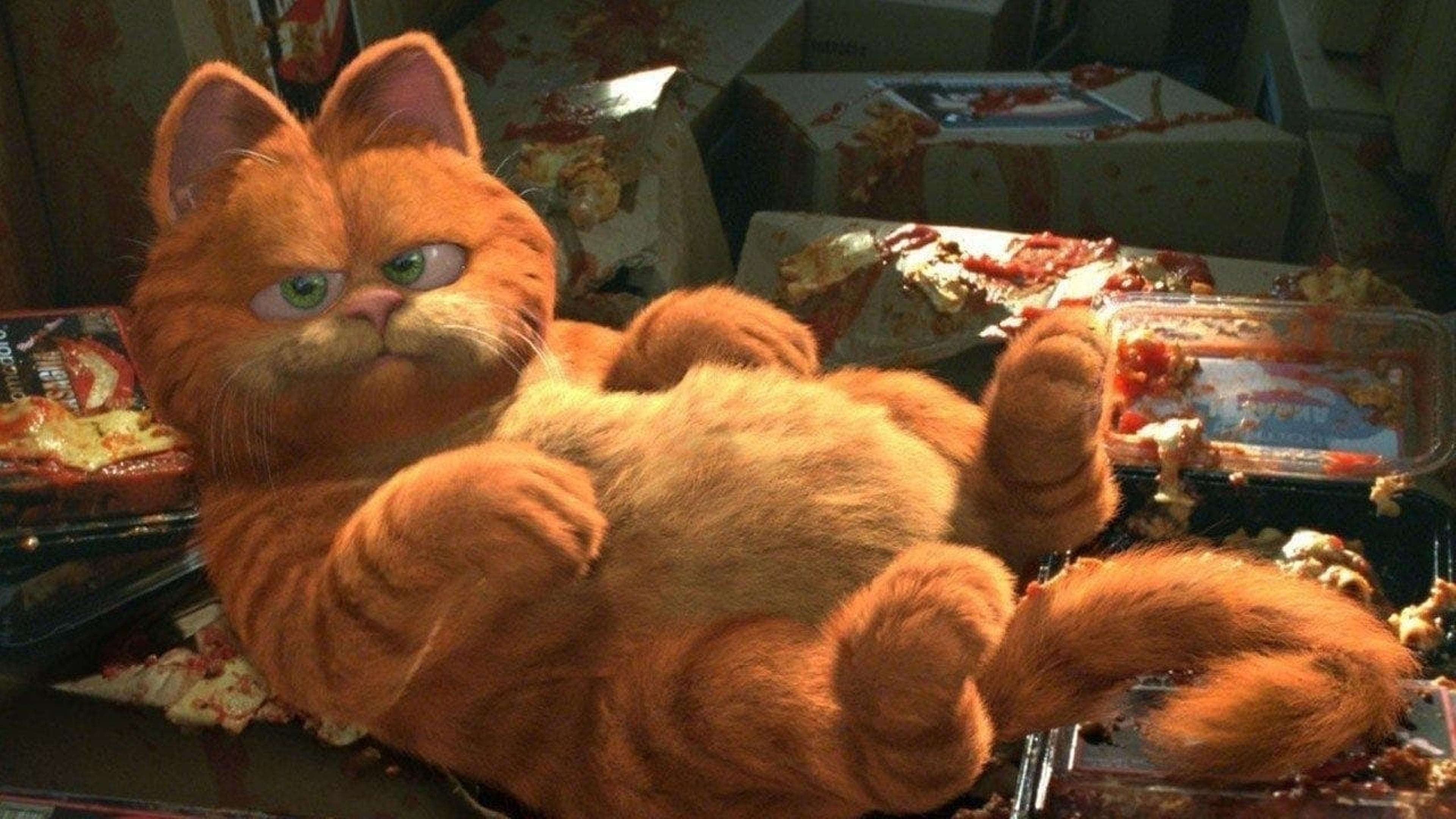 Garfield, le film