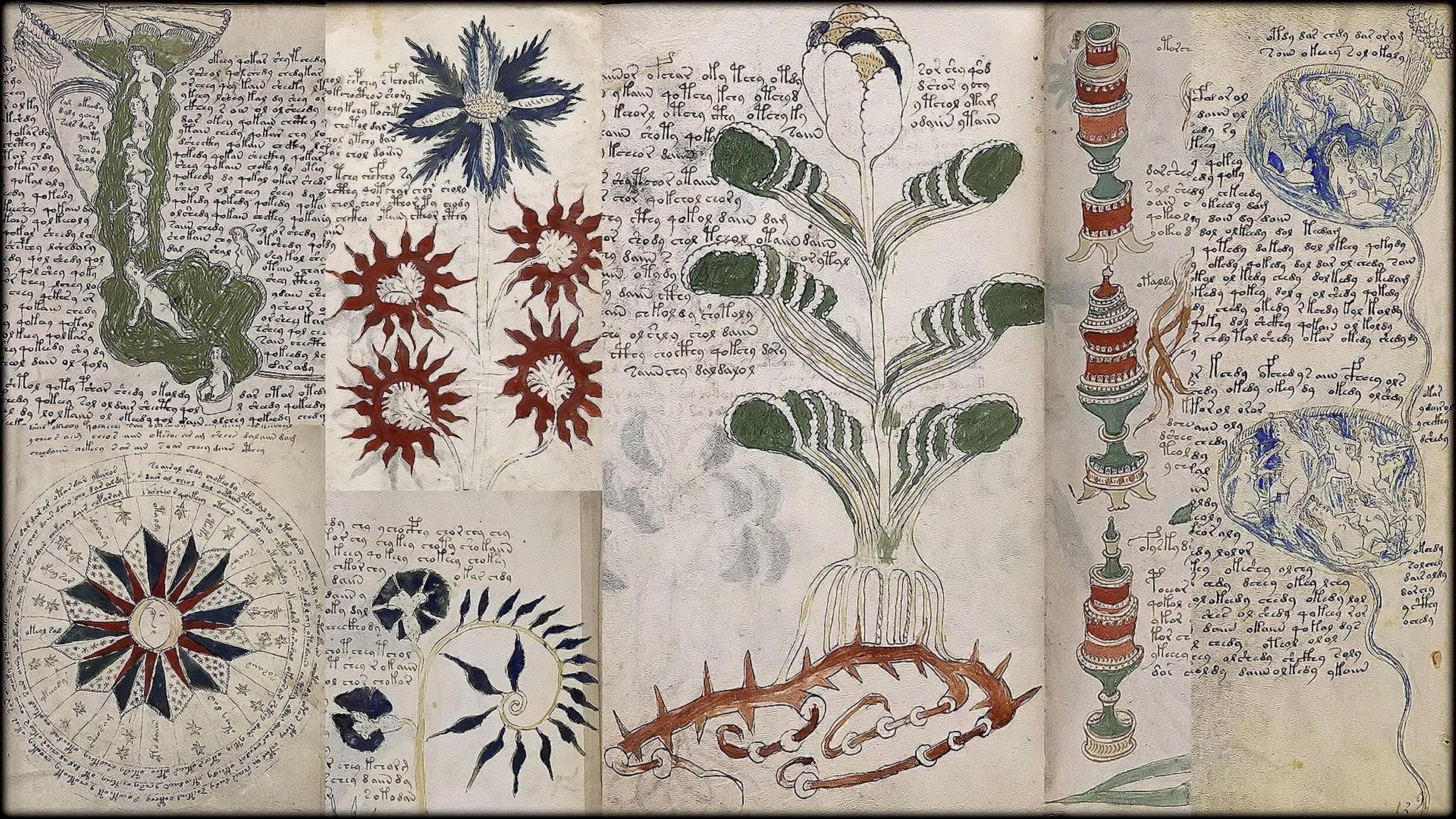 Das Voynich-Manuskript - Die geheimnisvollste Handschrift der Welt