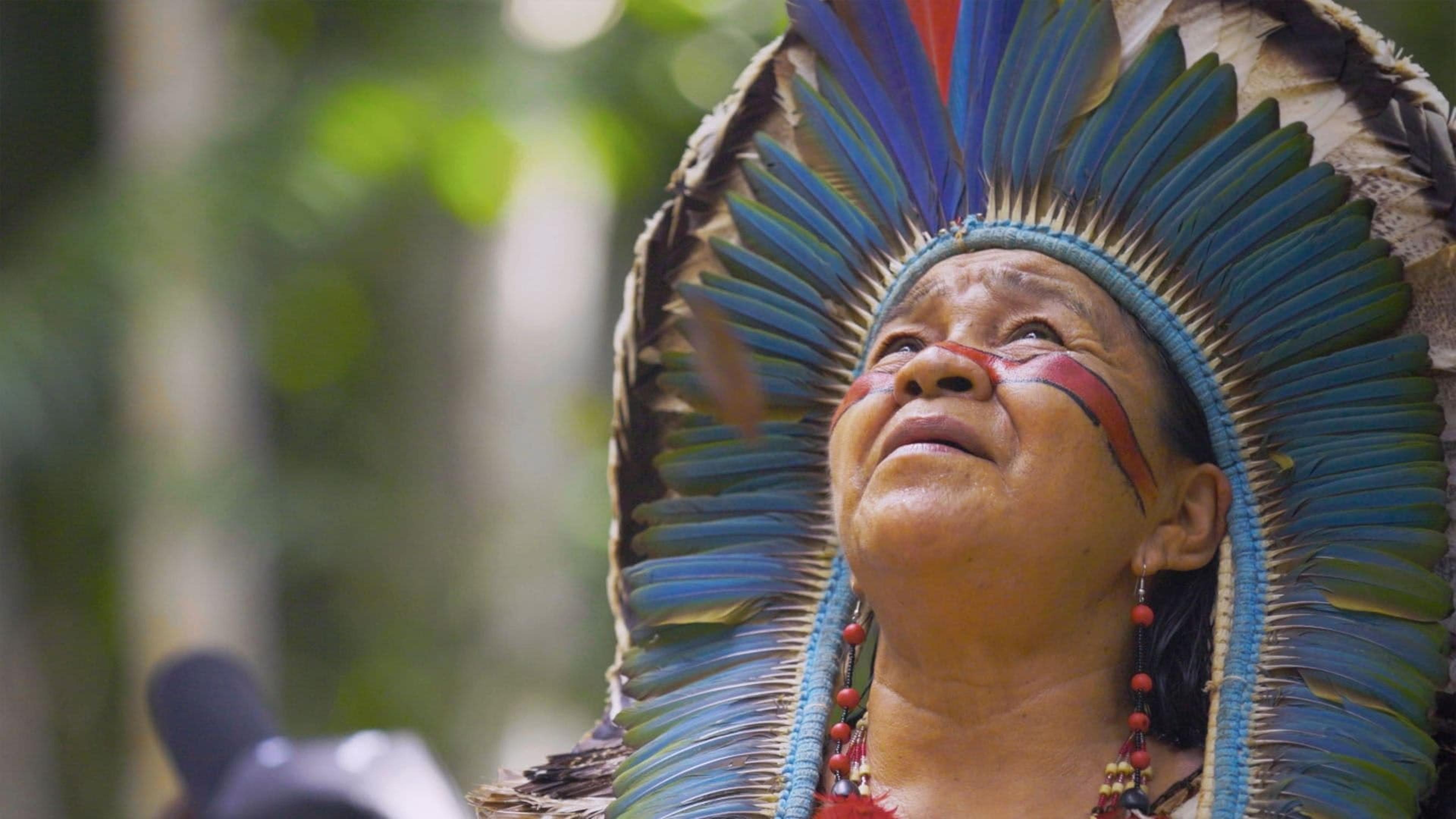 L'Amazonie, merveilleuse apothicaire