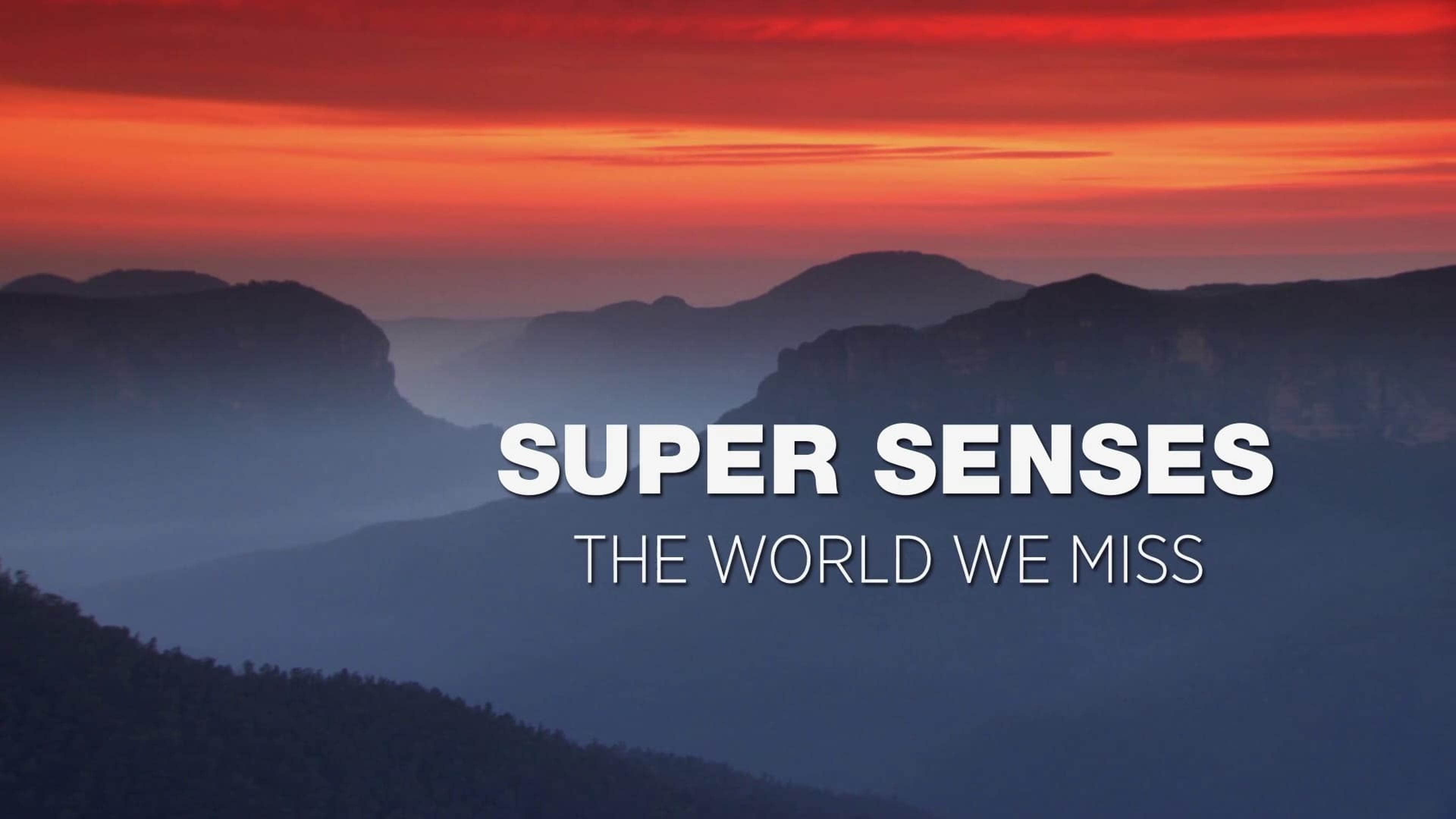 Super Senses