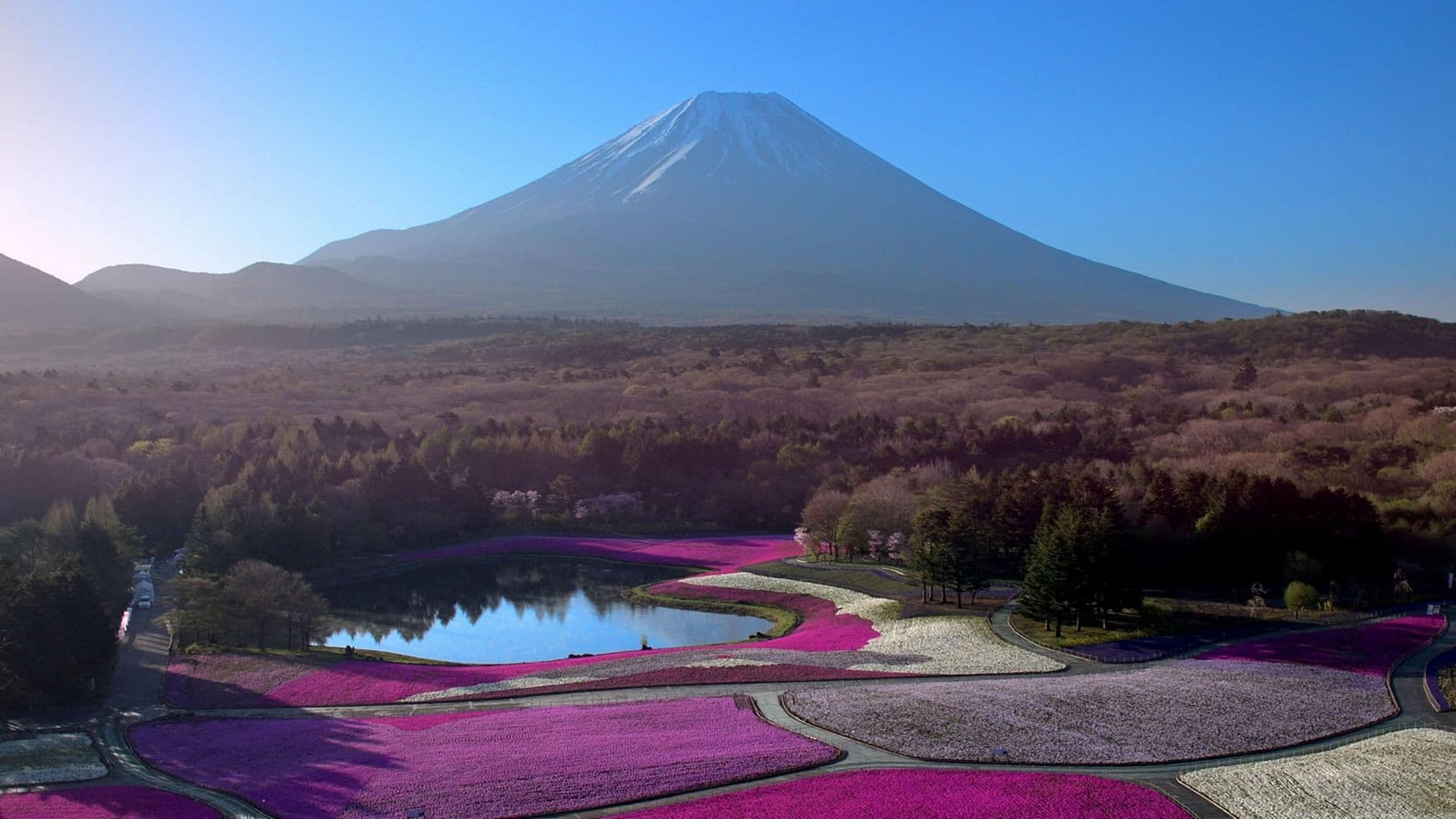 Japon, aux racines du soleil