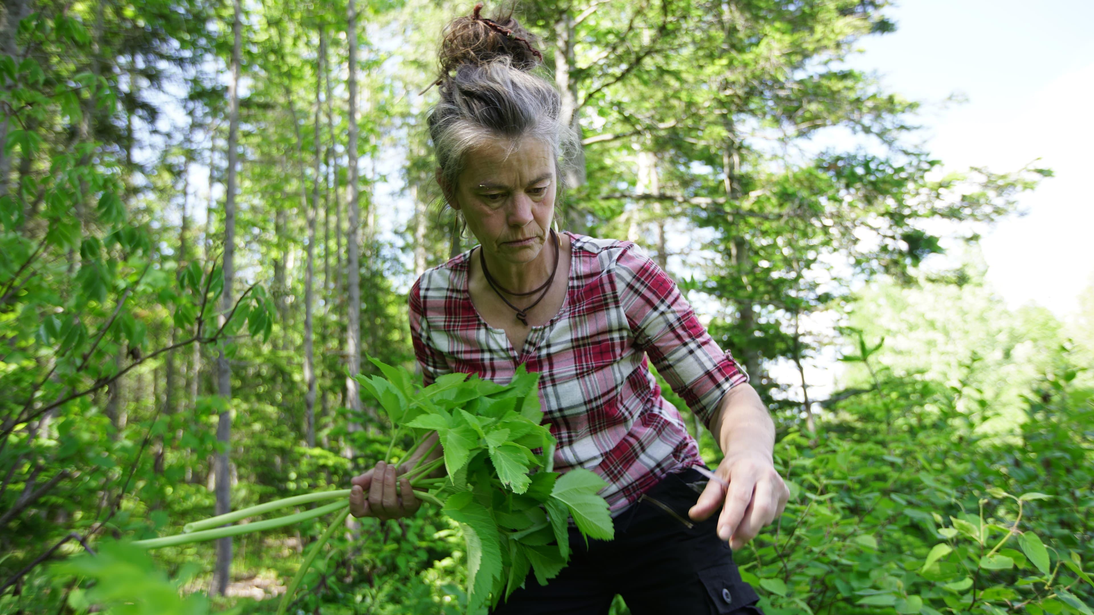 La famille de la forêt