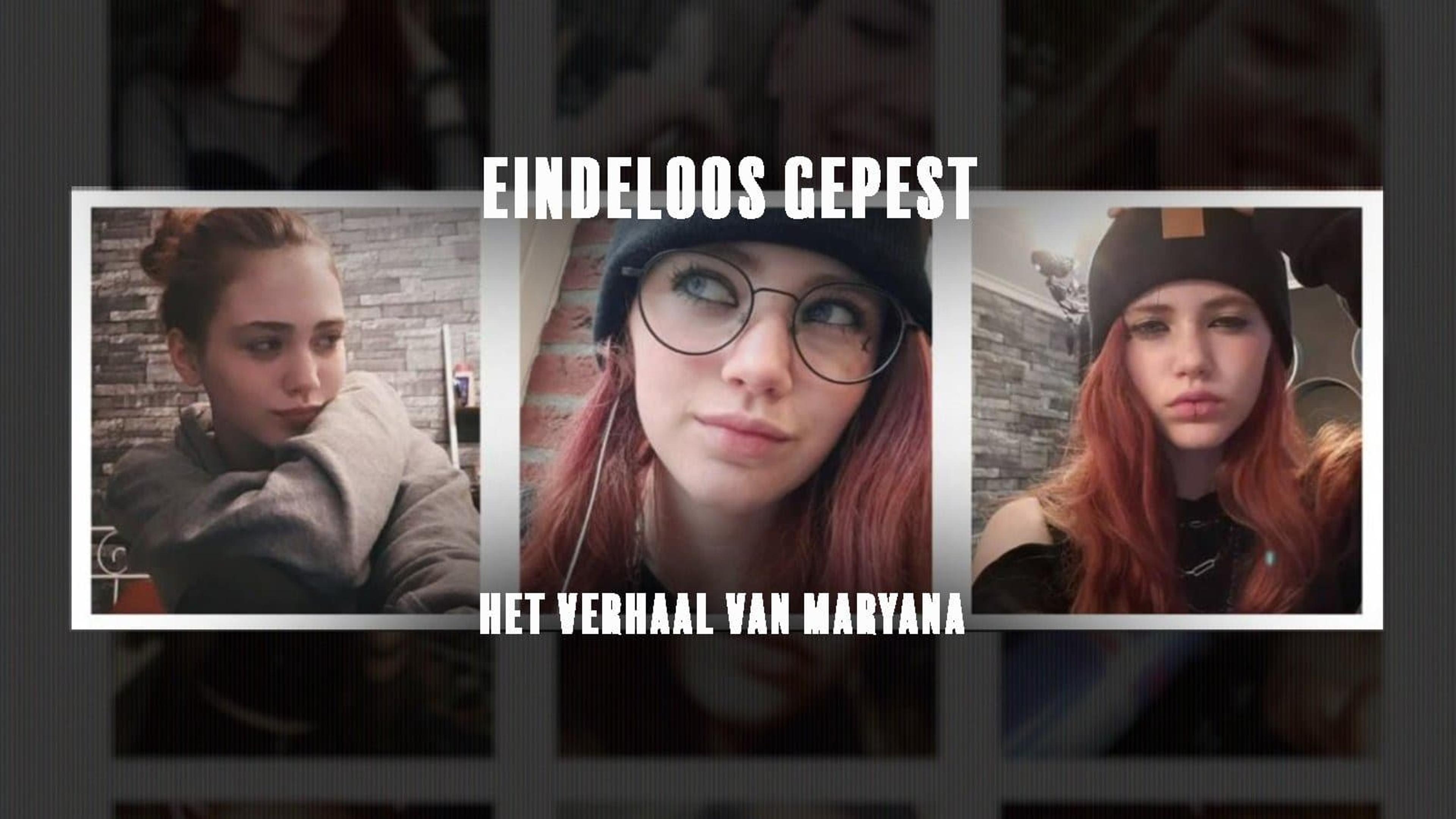 Eindeloos gepest