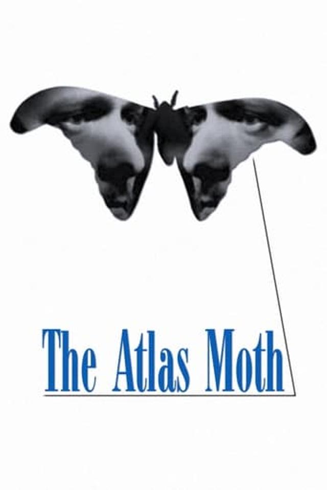 The Atlas Moth