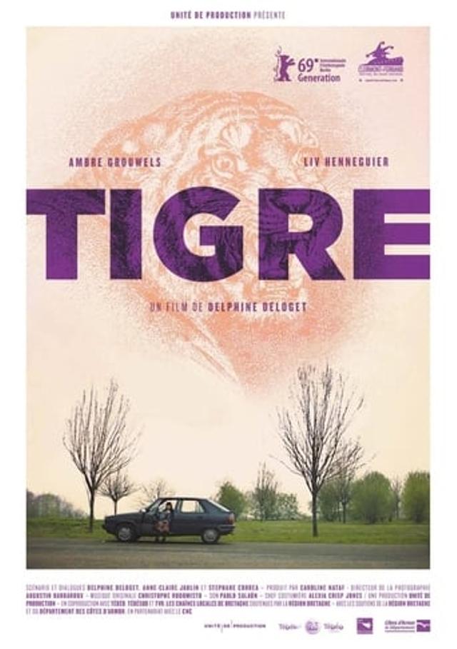 Tigre