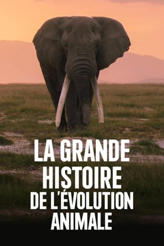 La Grande Histoire de l'évolution animale