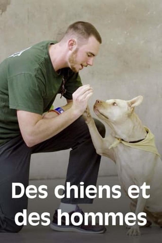 Des chiens et des hommes : Les Secrets d’une amitié