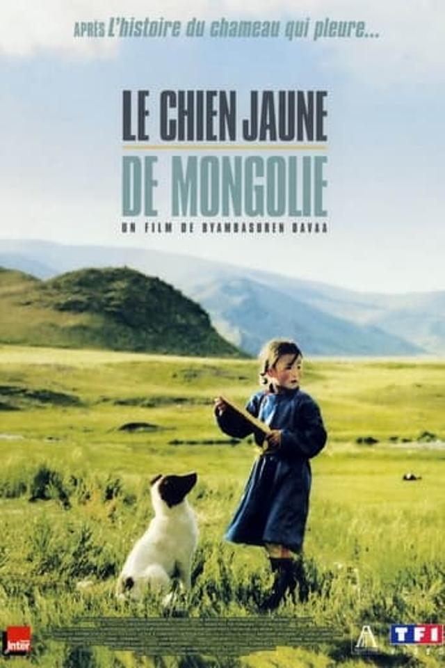 Le Chien jaune de Mongolie