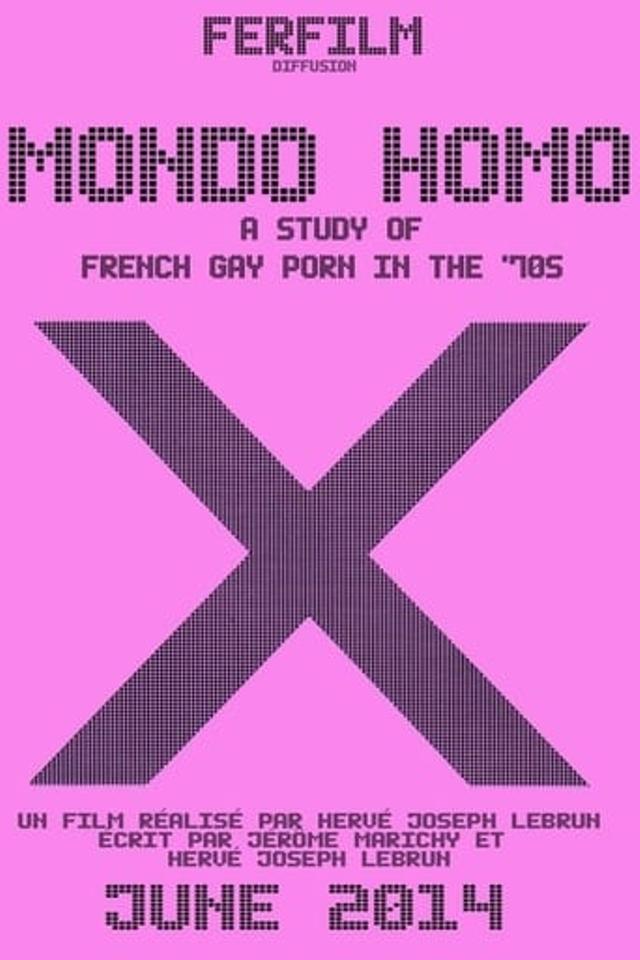 Mondo Homo : Enquête sur le cinéma pornographique homosexuel français des années 70