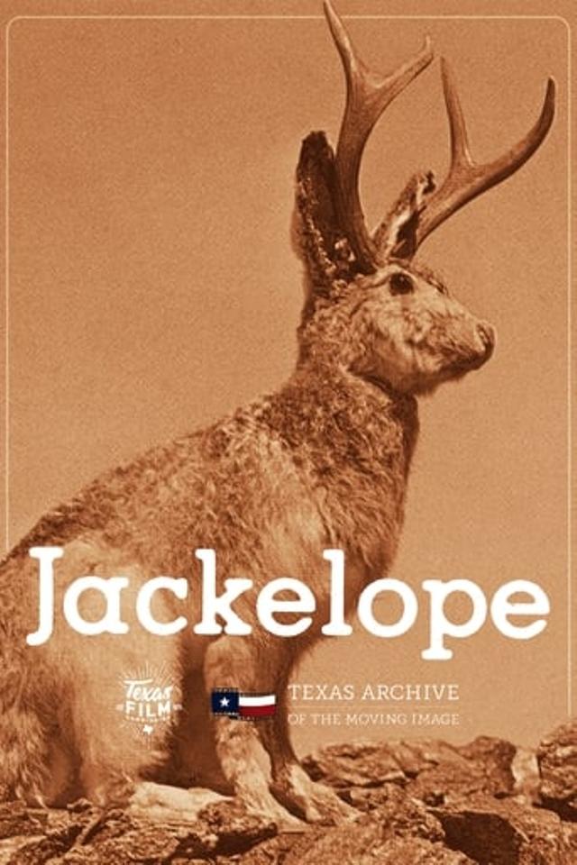 Jackelope