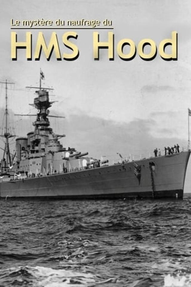 How The Bismarck Sank HMS Hood