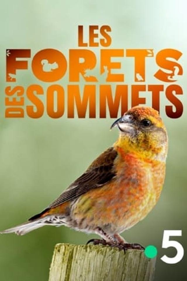 Les forêts des sommets