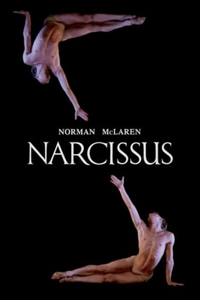 Narcissus