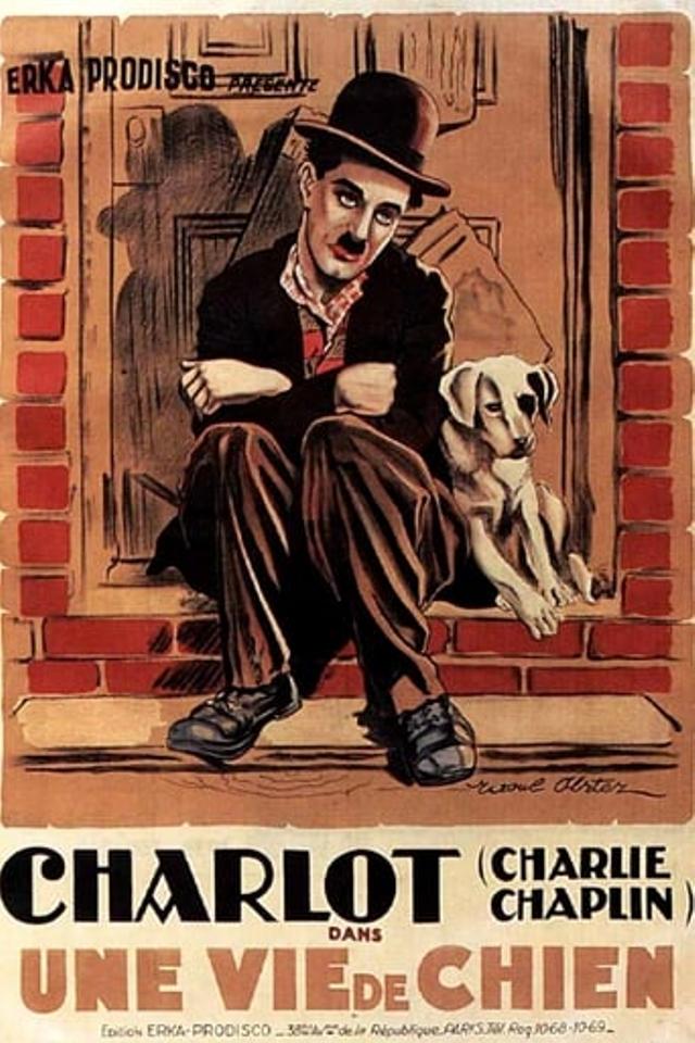 Une vie de chien