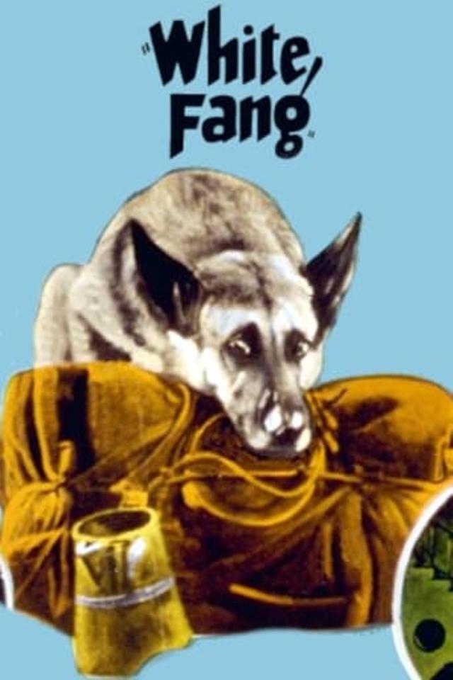 White Fang