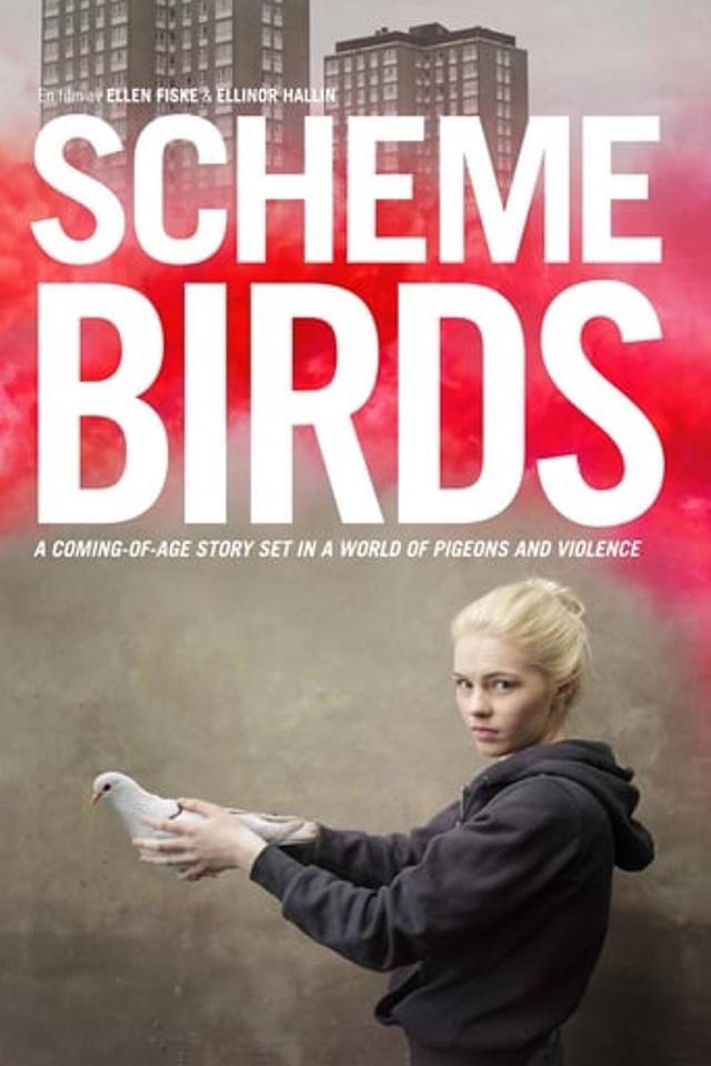 Scheme Birds