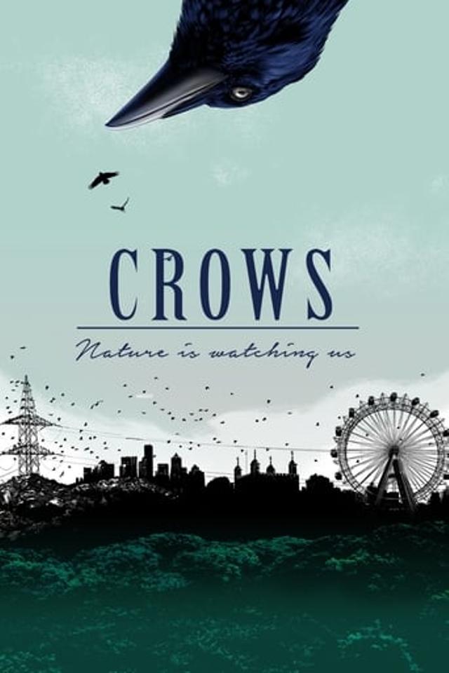 Crows - Nature Is Watching Us