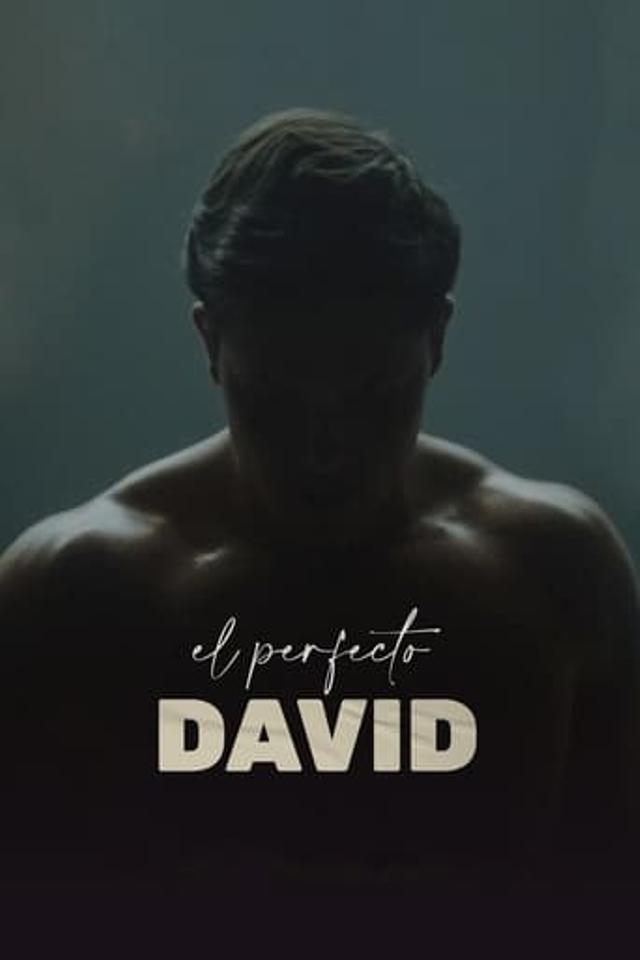 El perfecto David