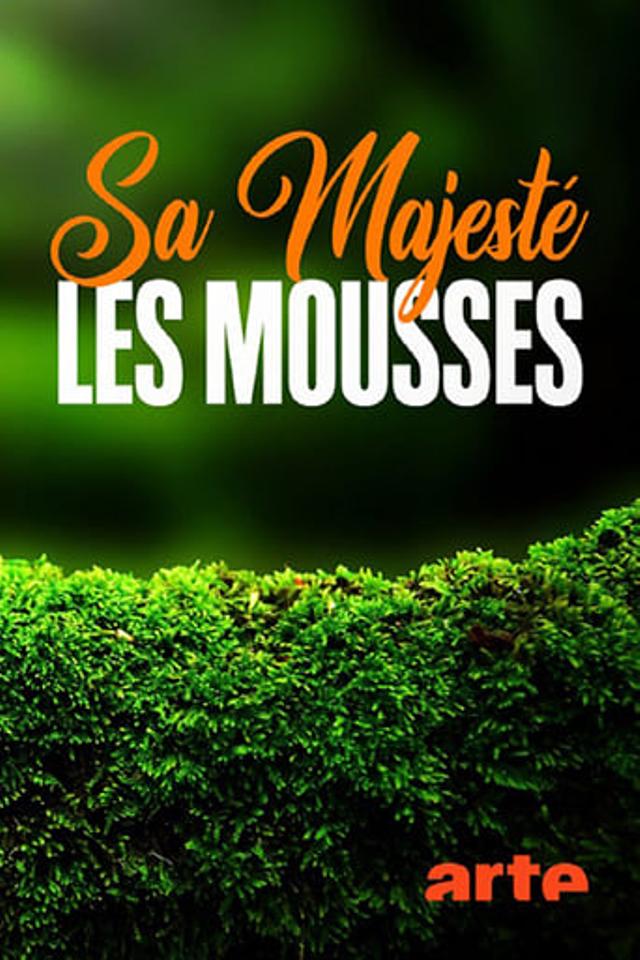 Sa Majesté les mousses