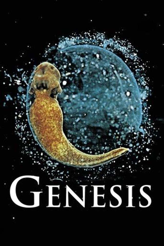 Genesis