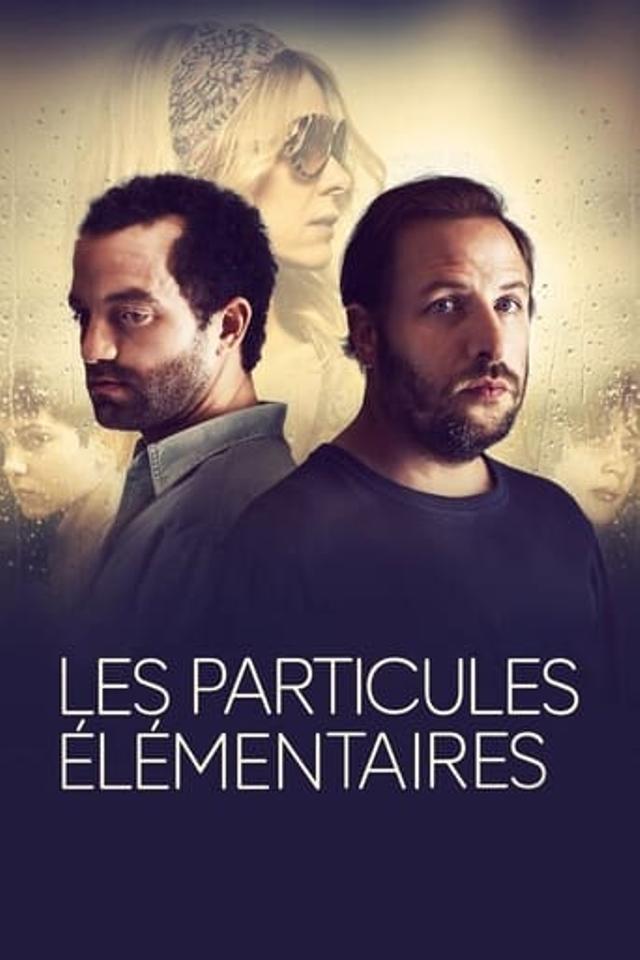 Les particules élémentaires