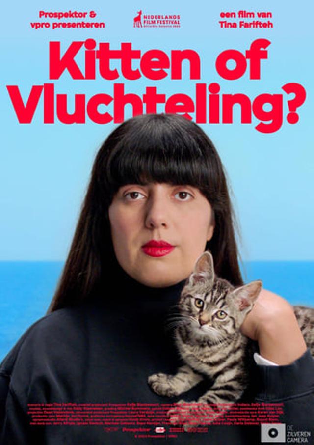 Kitten of vluchteling?