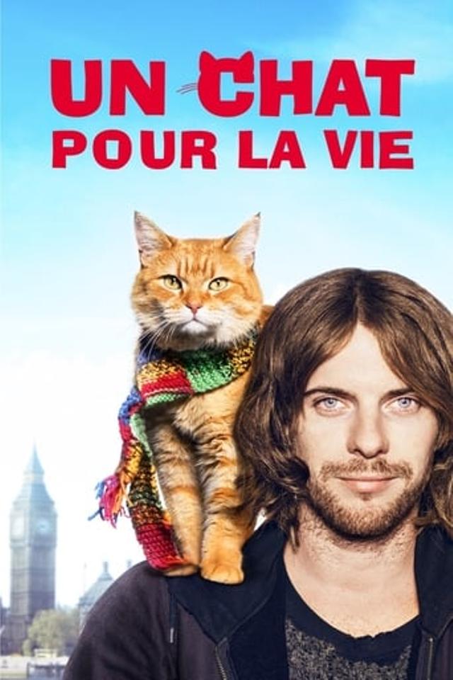 Un chat pour la vie