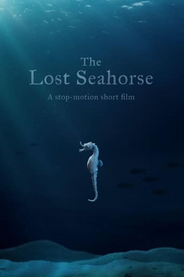 The Lost Seahorse