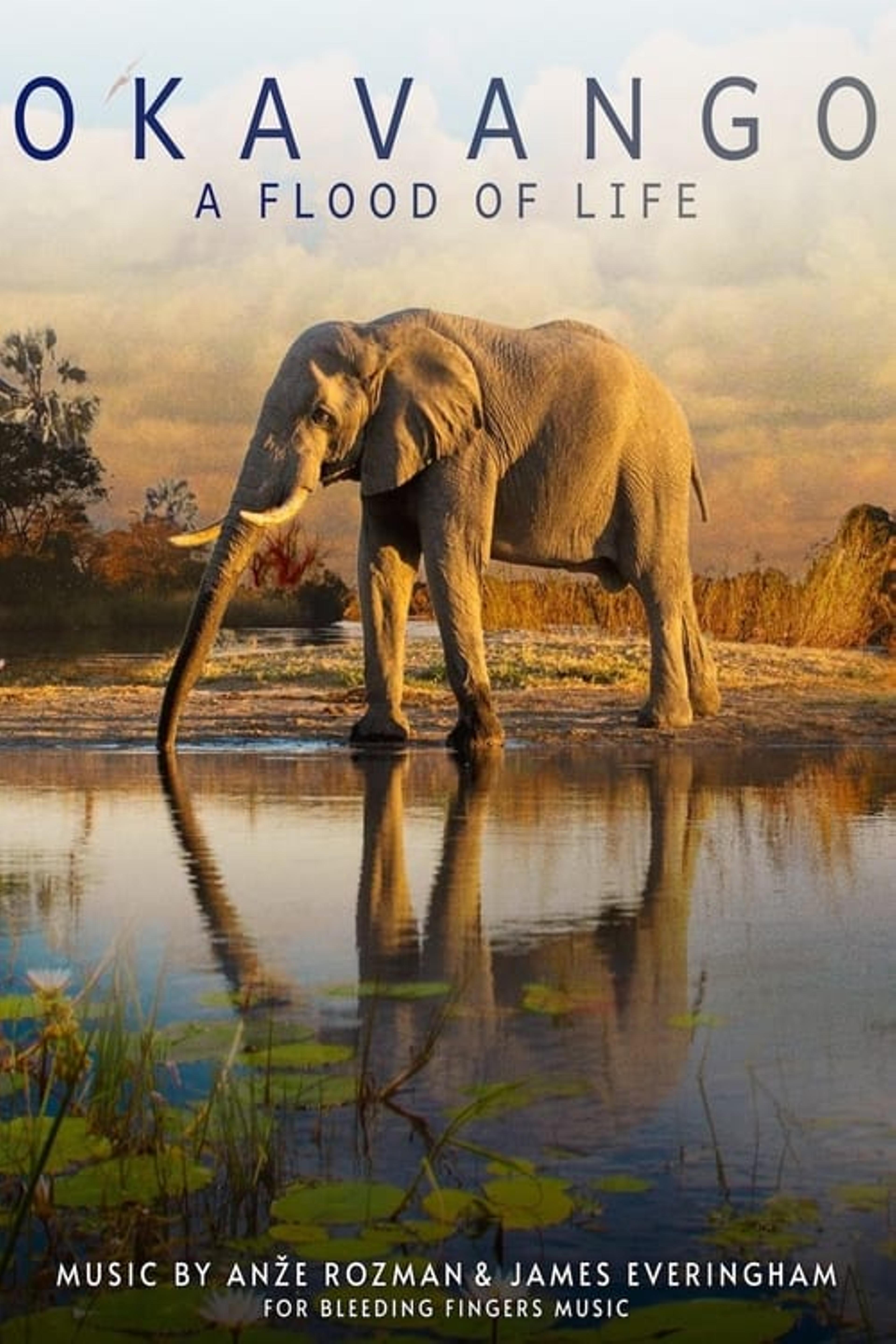 Okavango: A Flood of Life