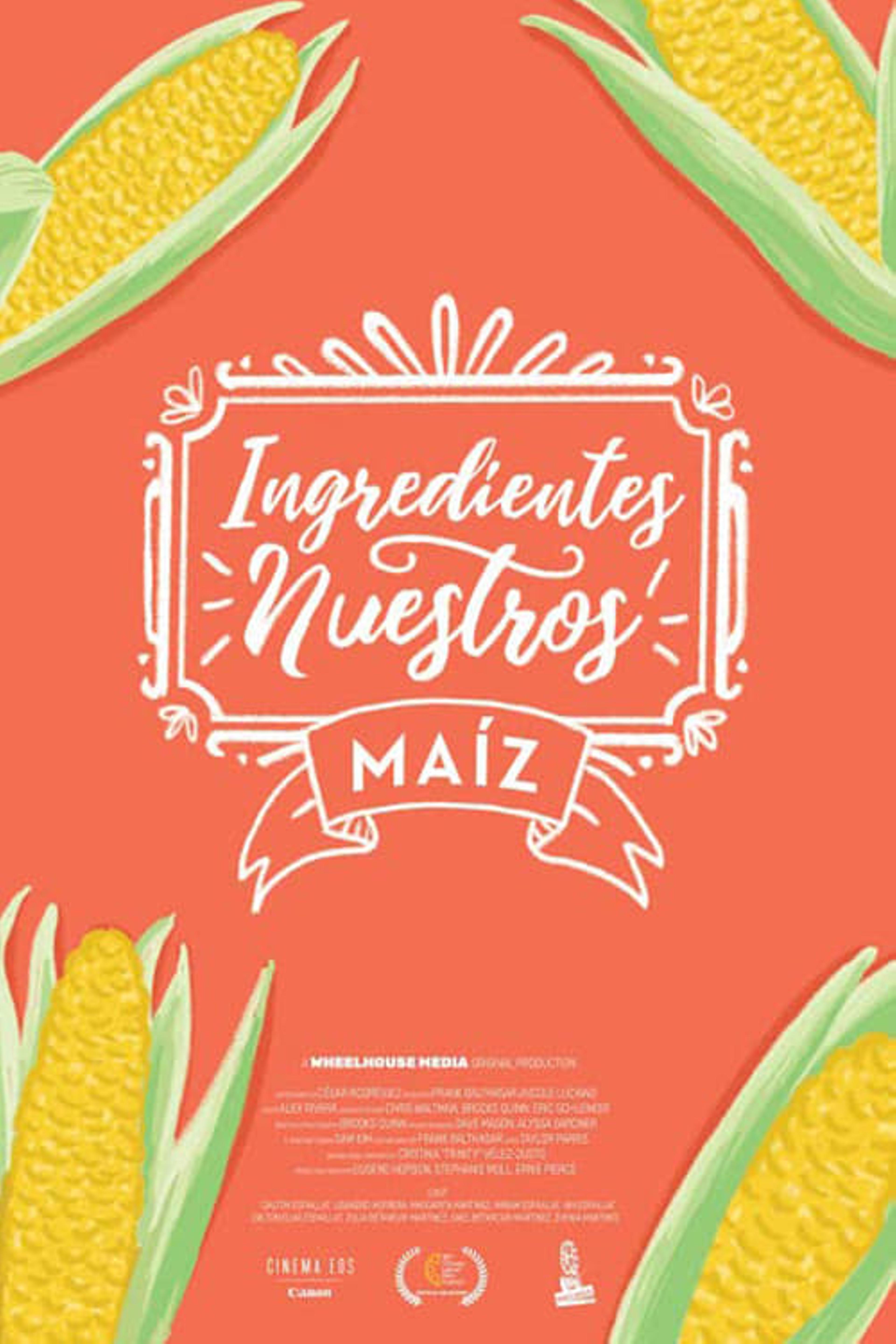 Ingredientes Nuestros: Maiz