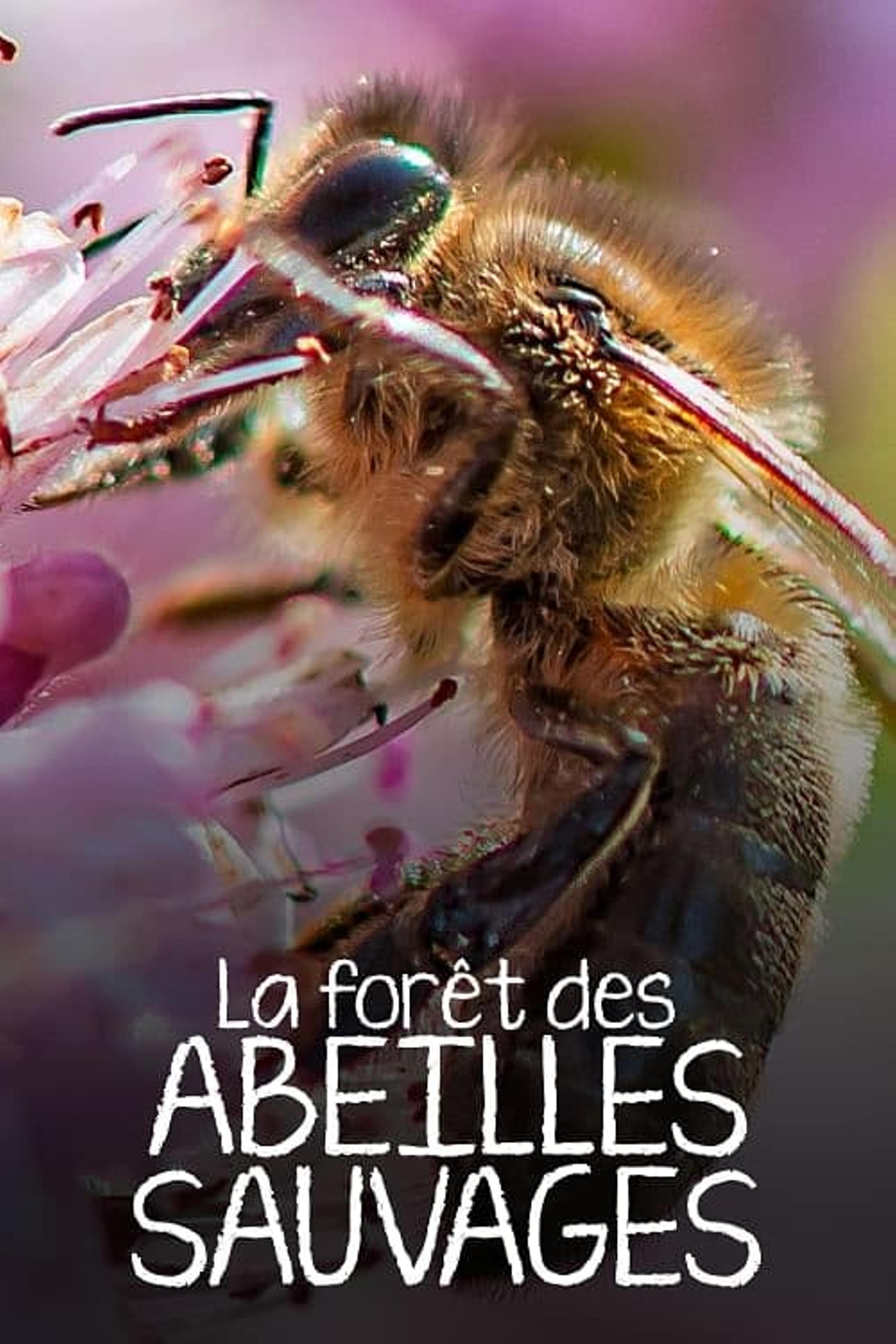 La Forêt des abeilles sauvages