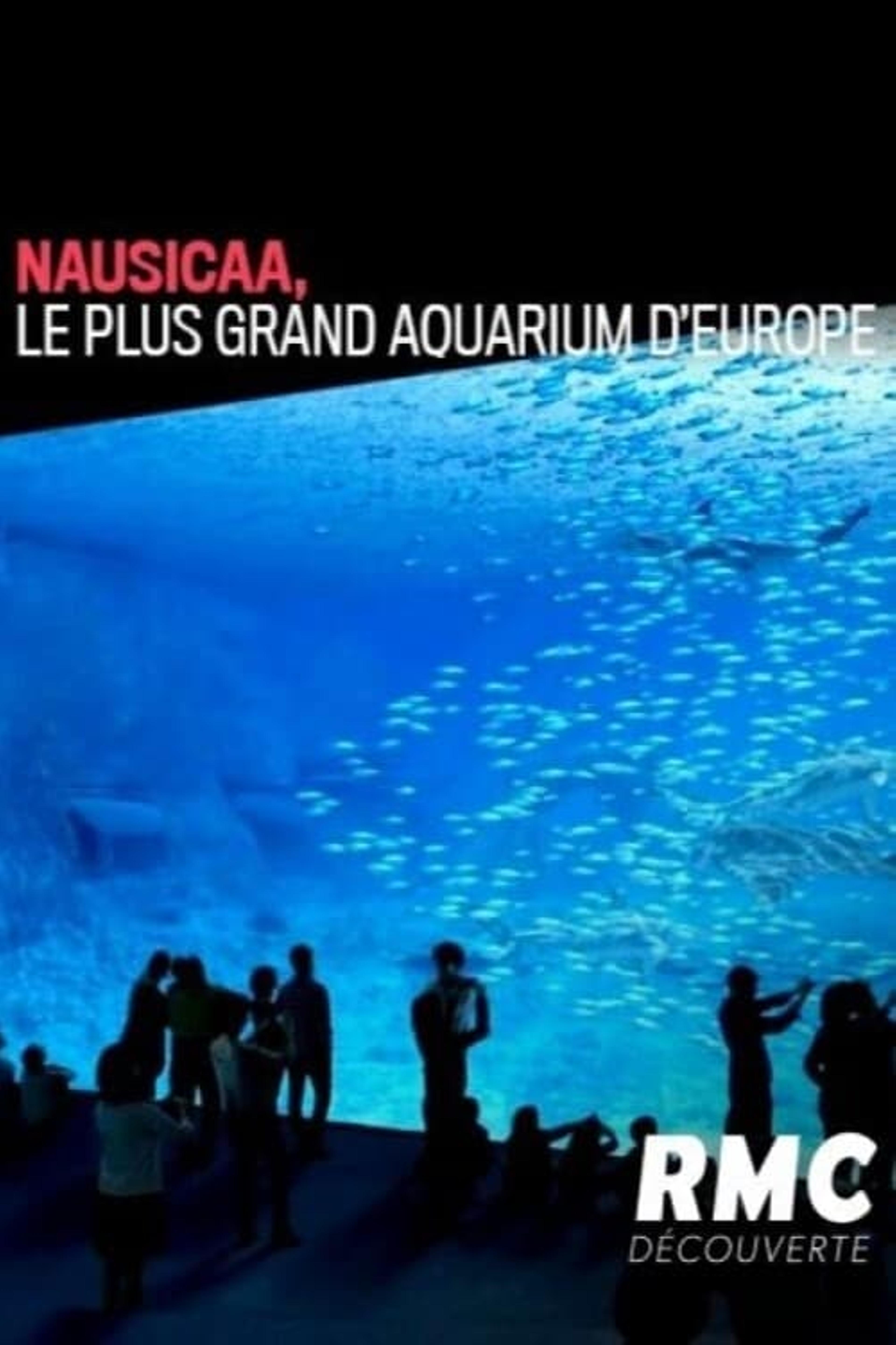 Nausicaa, le plus grand aquarium d'Europe