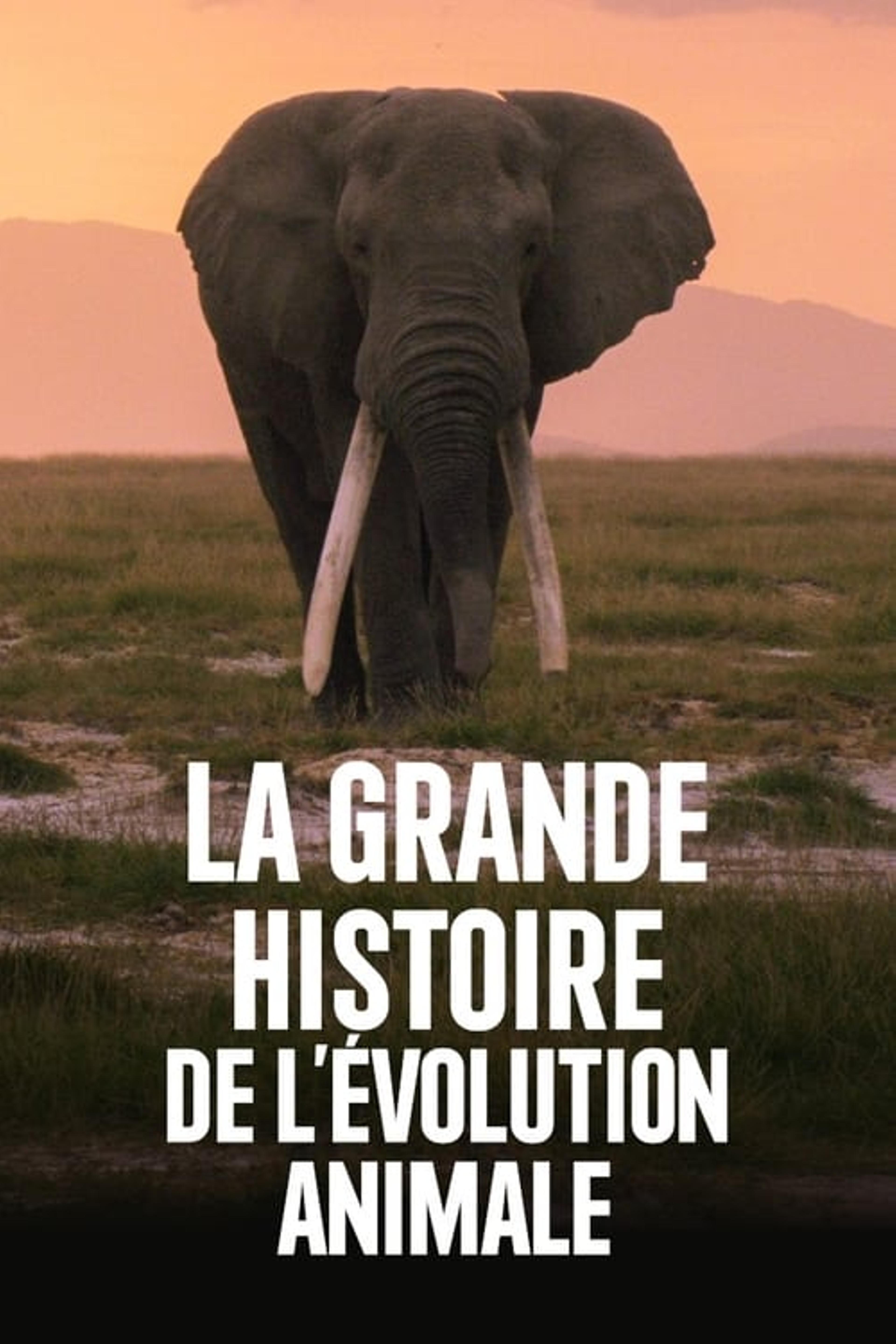 La Grande Histoire de l'évolution animale