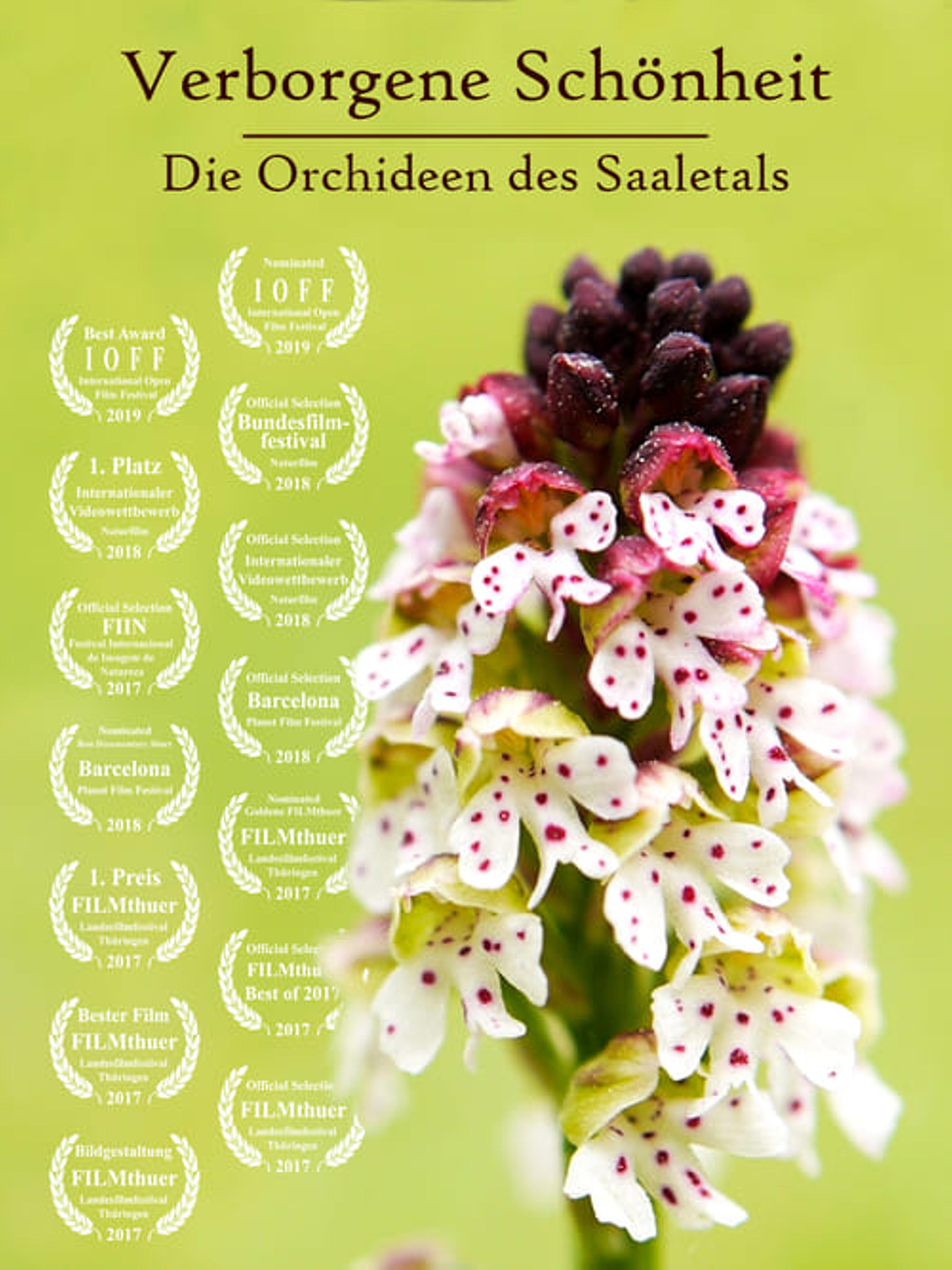 Hidden Beauty - The Orchids of the Saale Valley