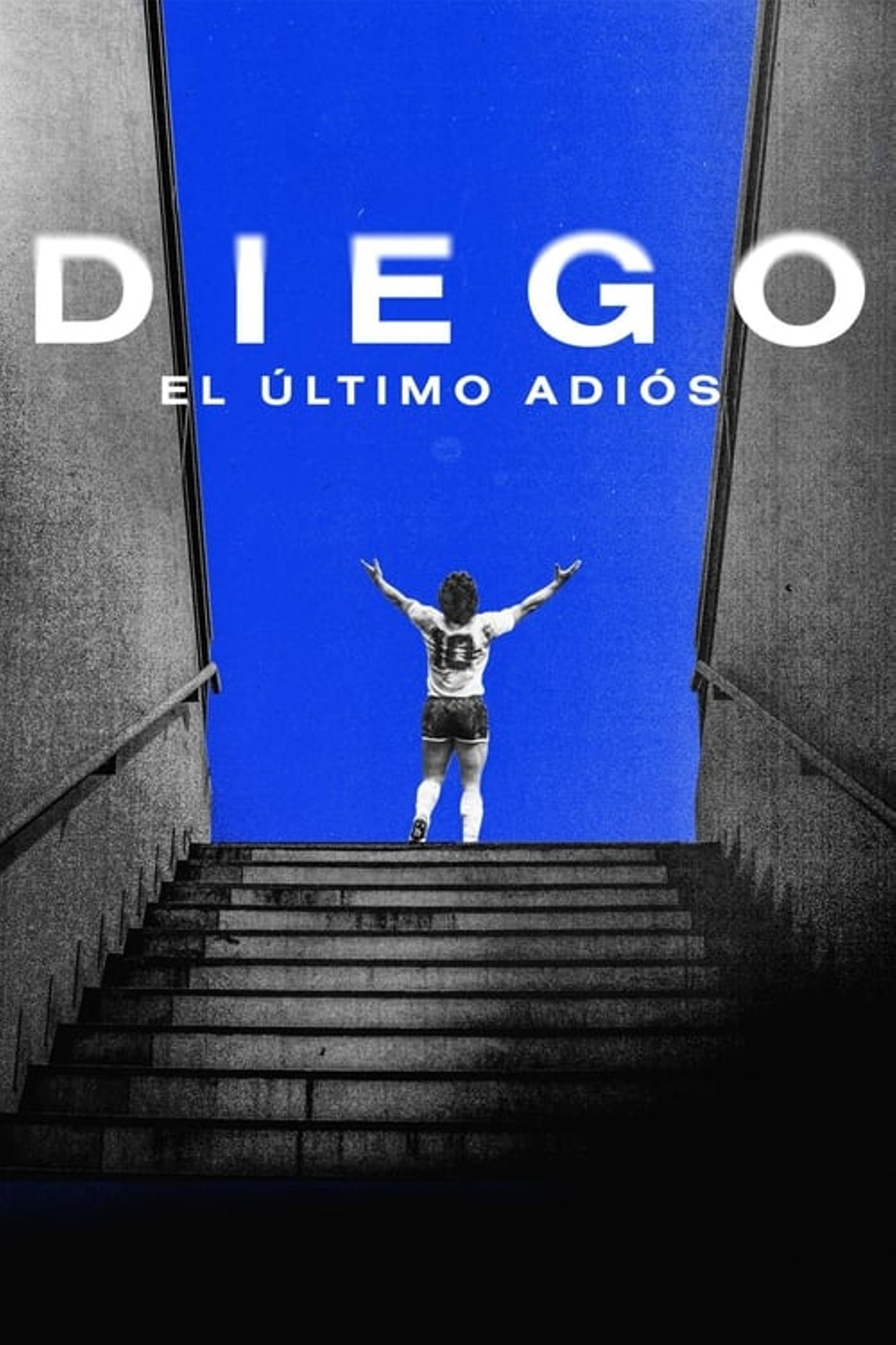 Diego, El último adiós