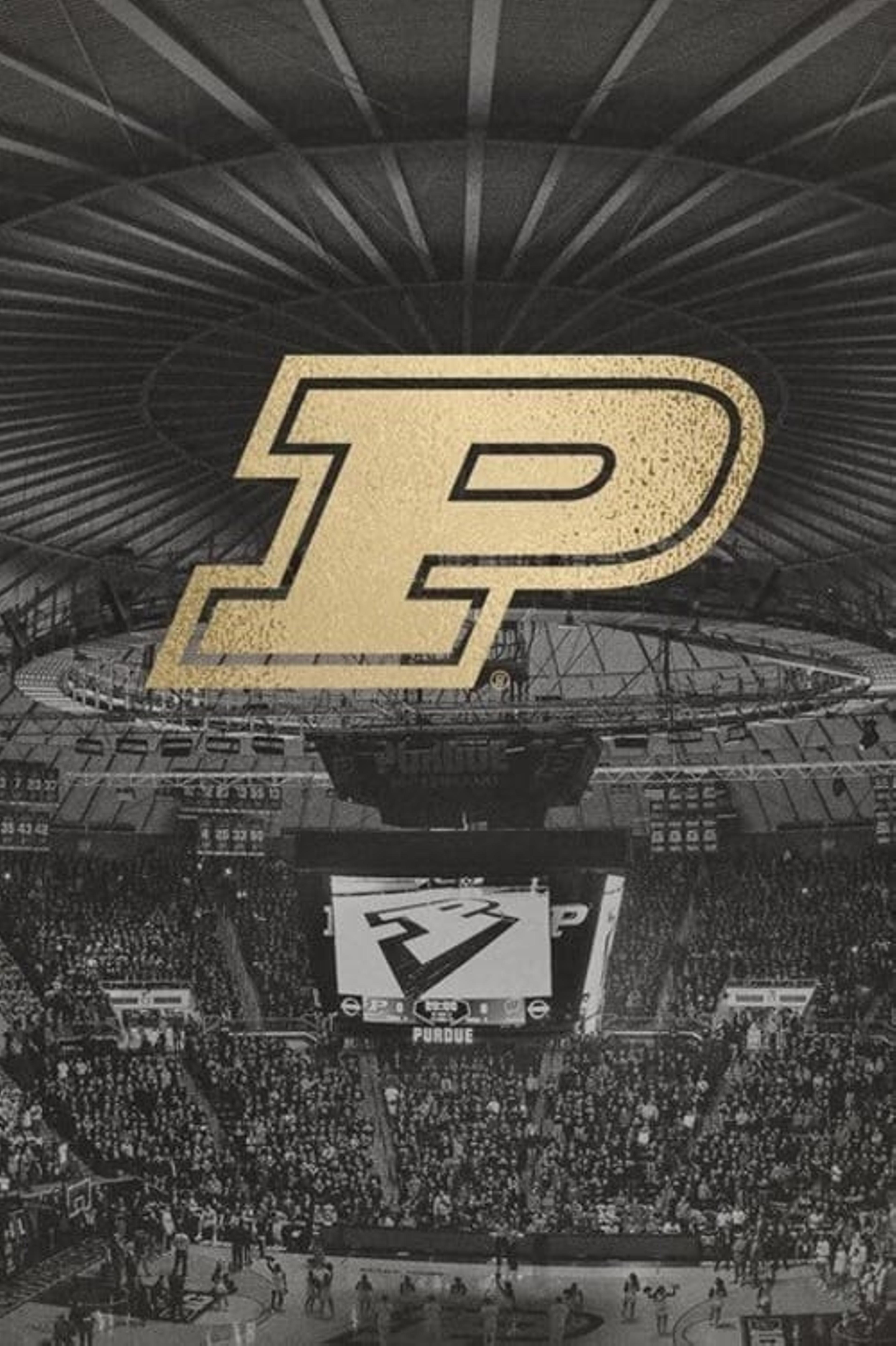 Phoenix: A Purdue Basketball Story