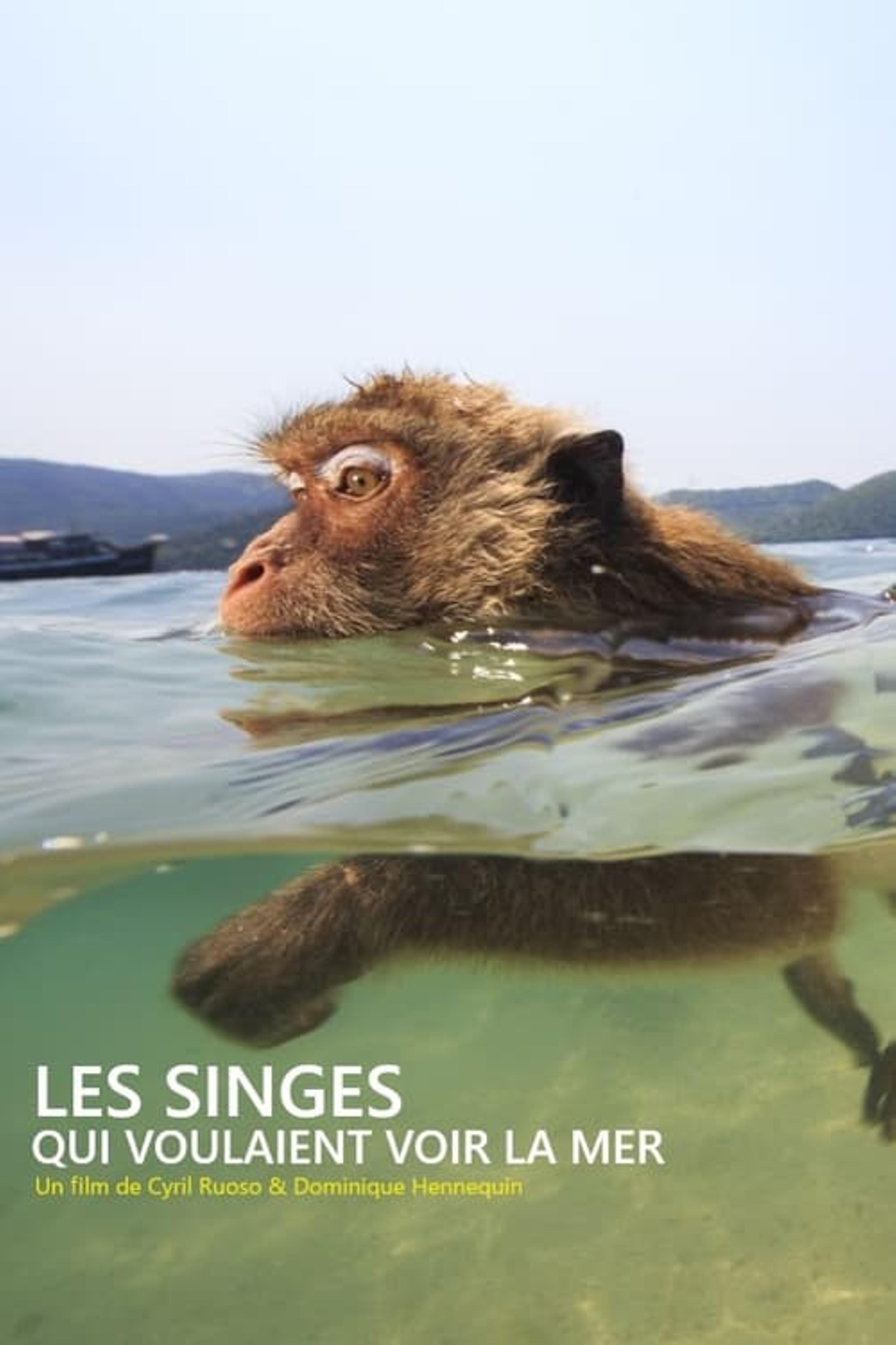 Les singes qui voulaient voir la mer