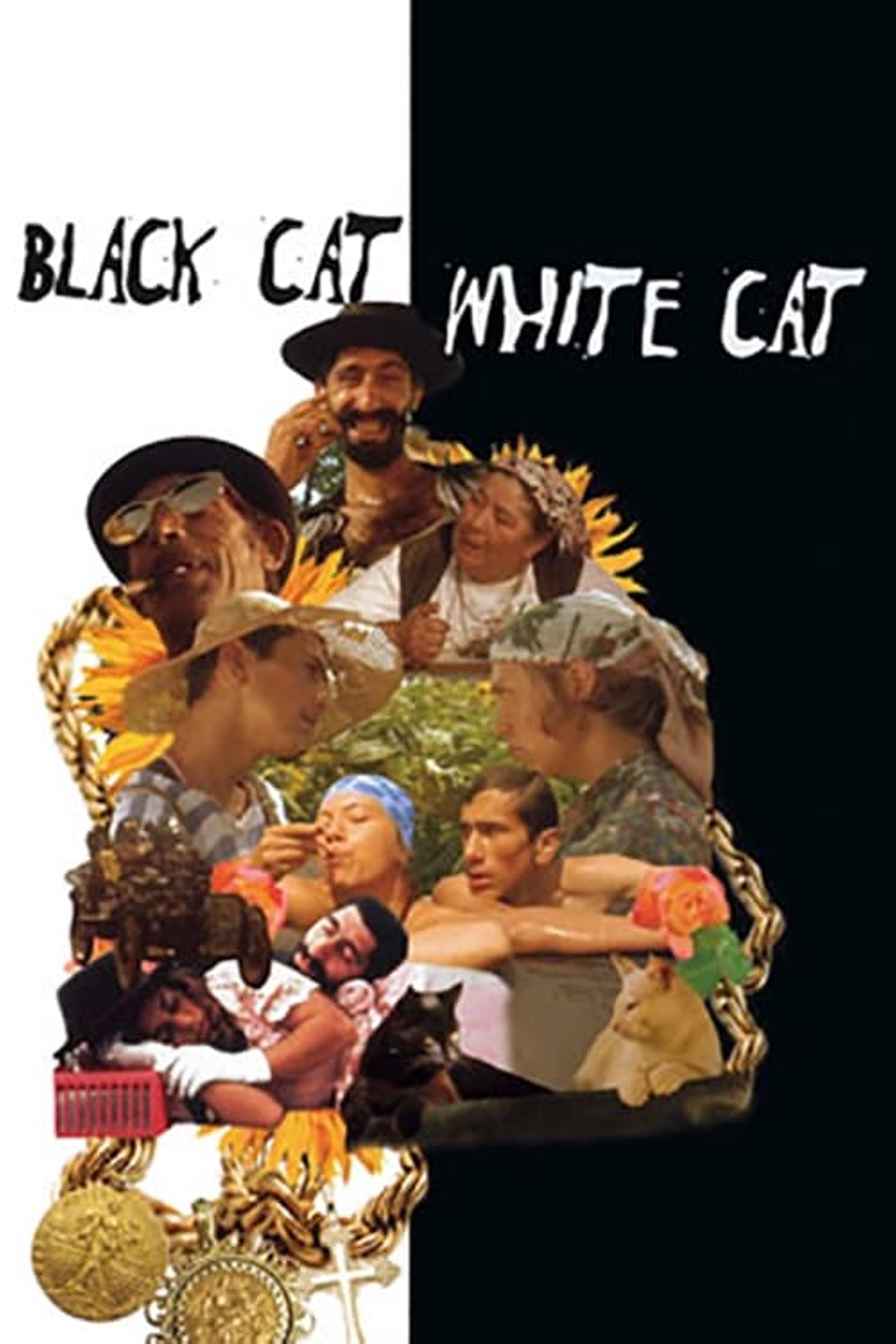 Black Cat, White Cat