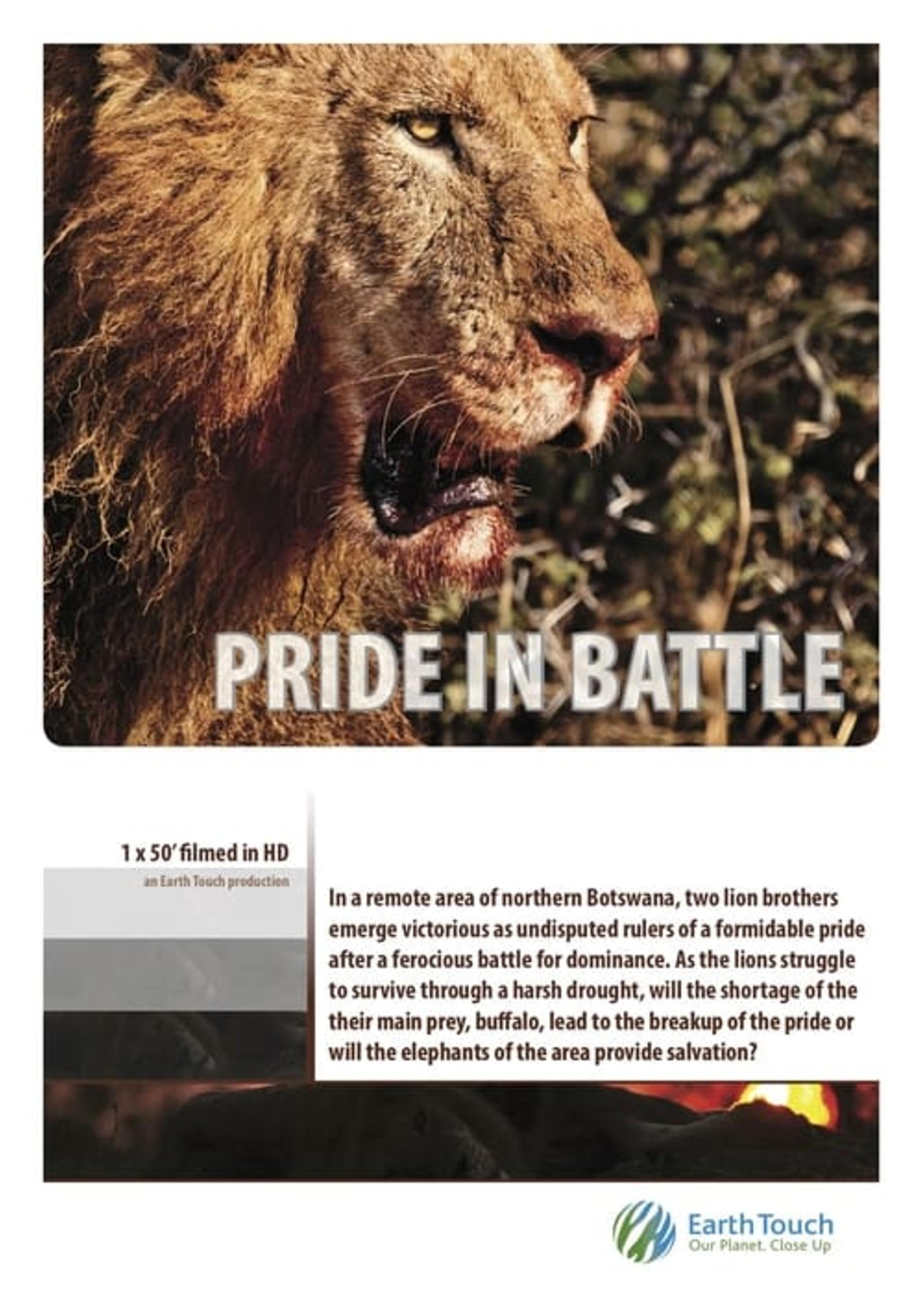 Pride in Battle