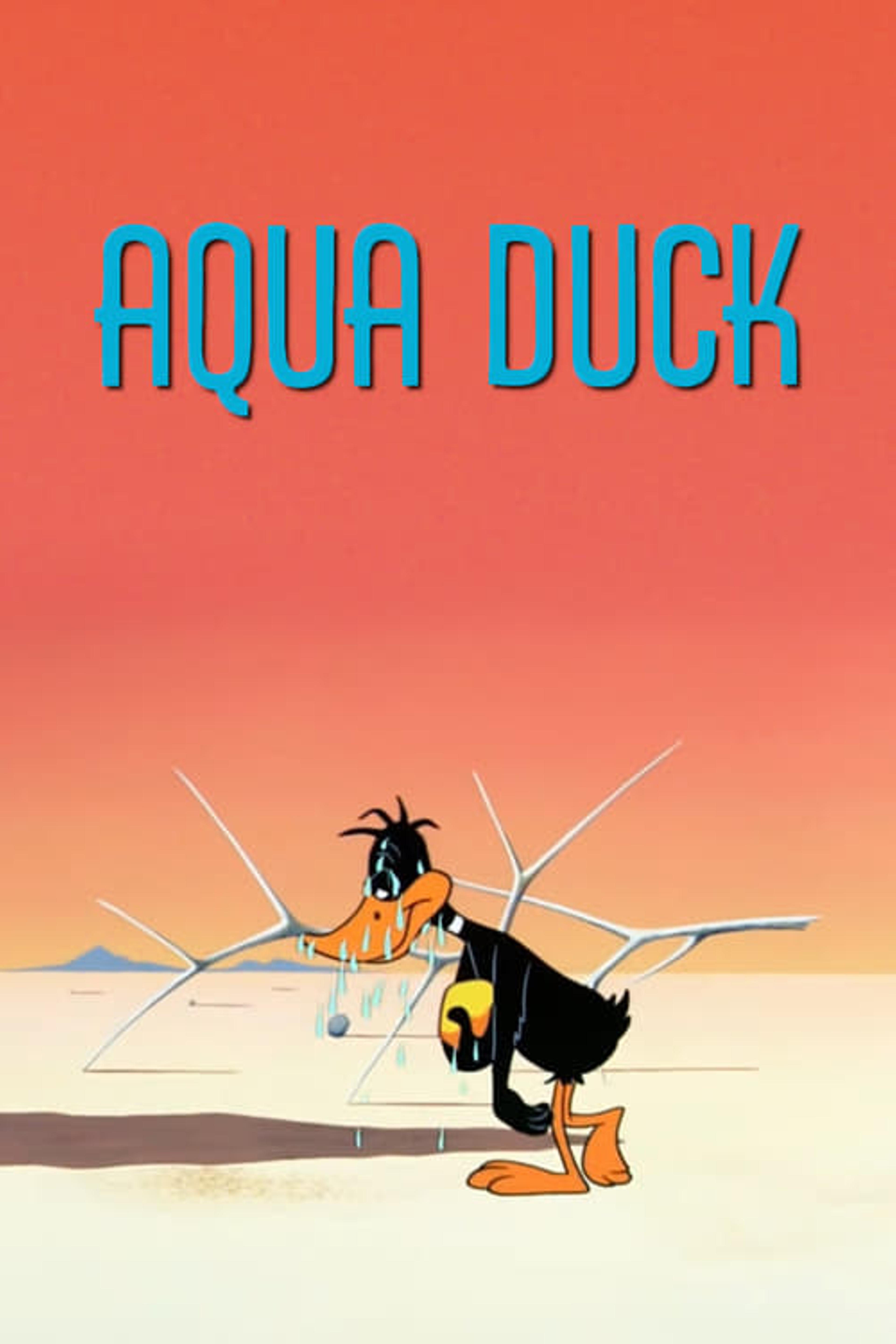 Aqua Duck