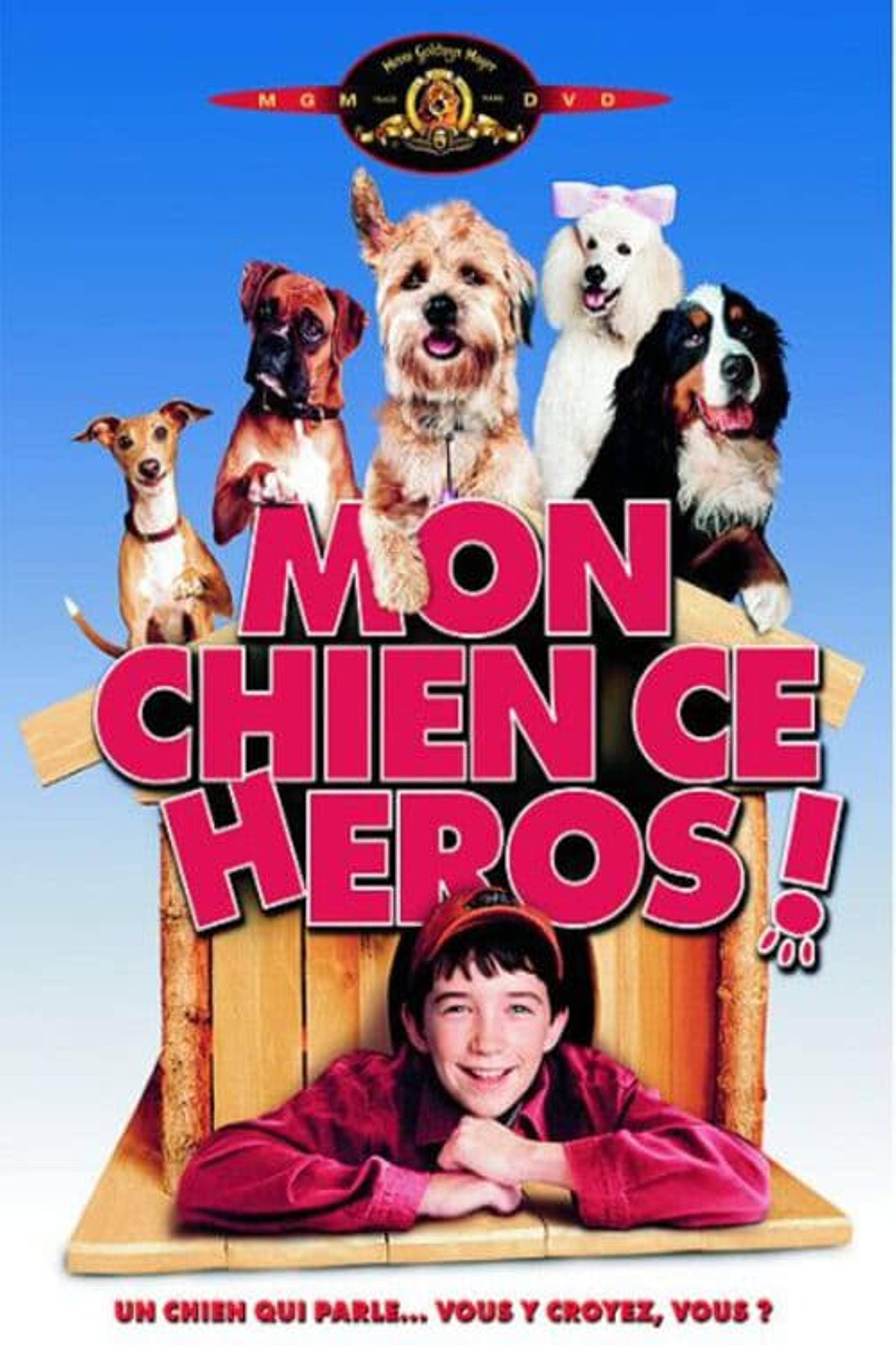 Mon chien, ce héros !