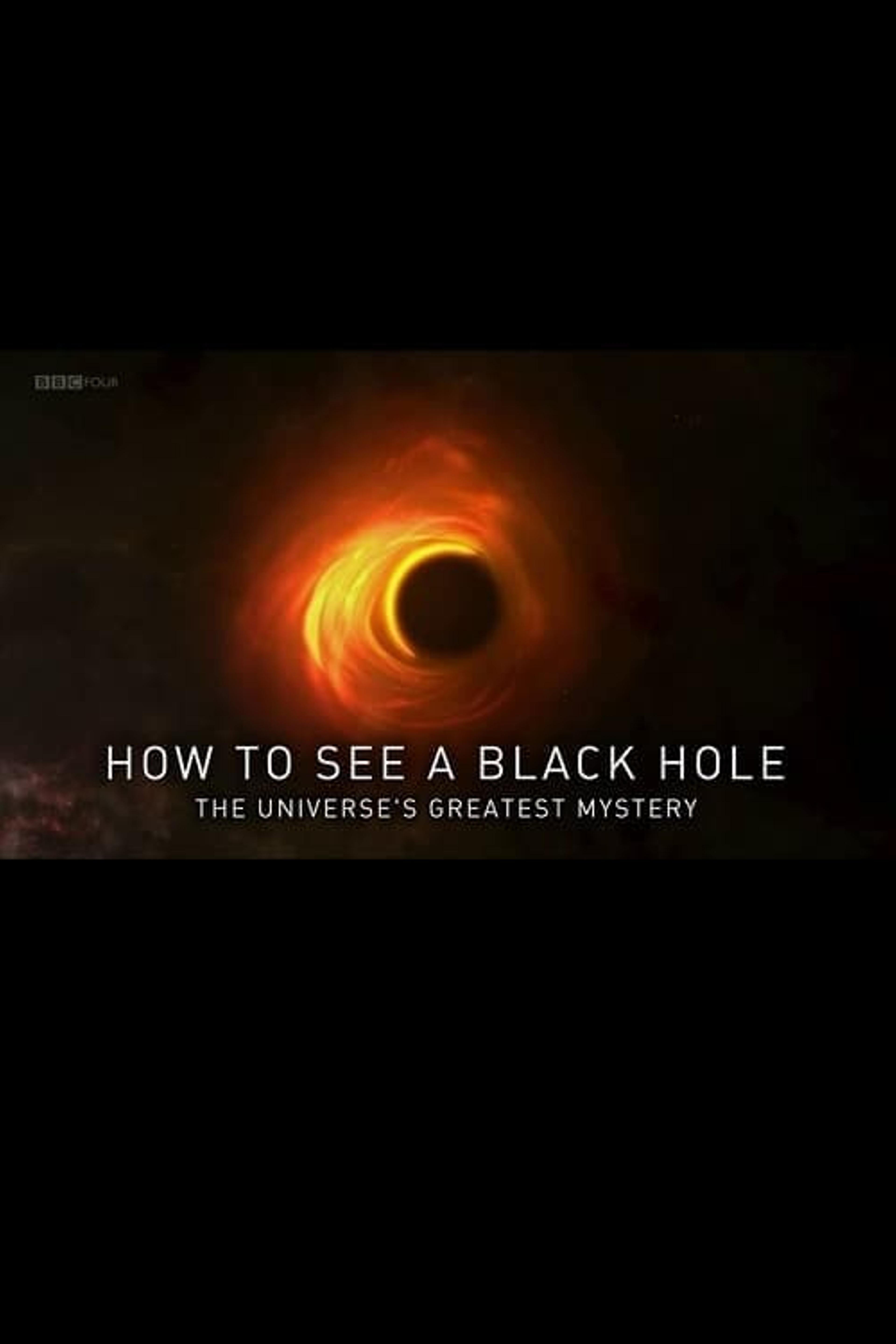 How to See a Black Hole: The Universe's Greatest Mystery